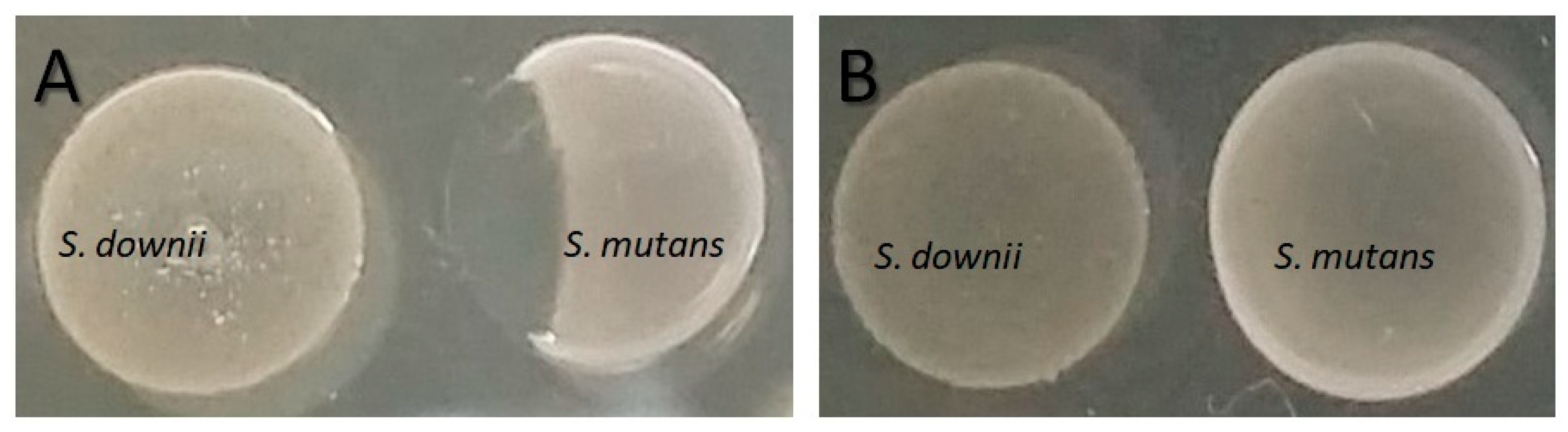 Antibiotics 12 01472 g001