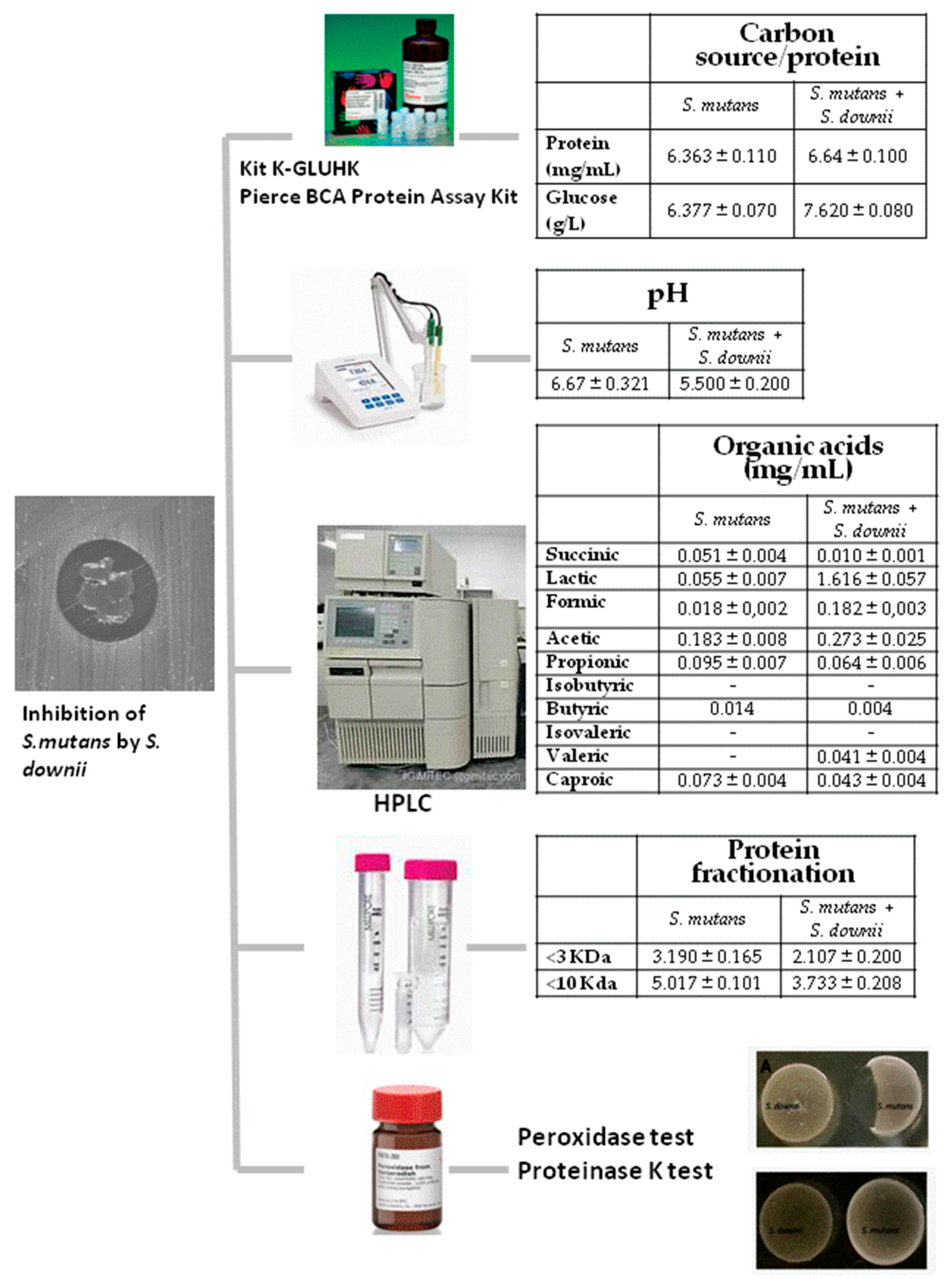 Antibiotics 12 01472 g003