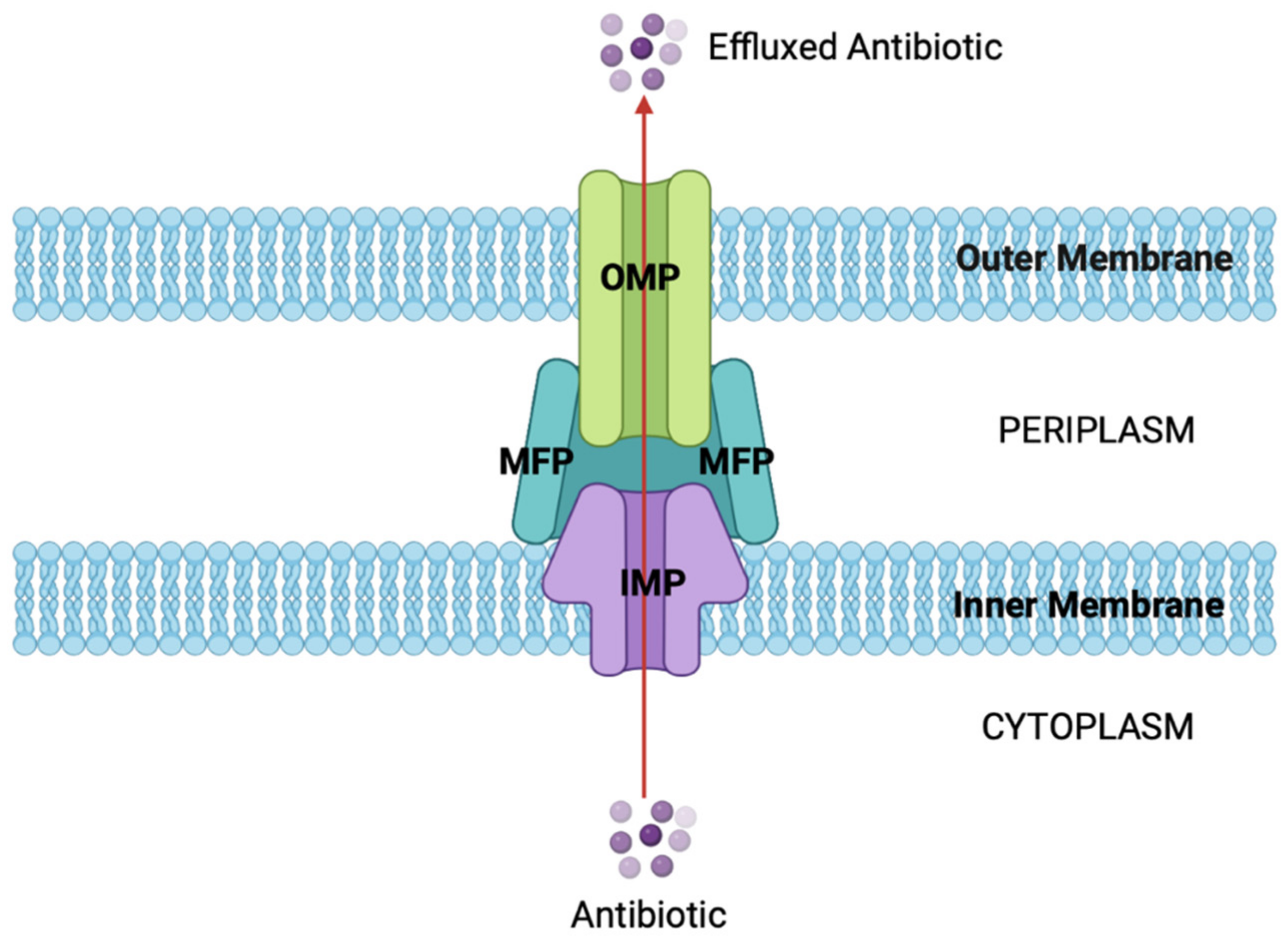 Antibiotics 12 01590 g004