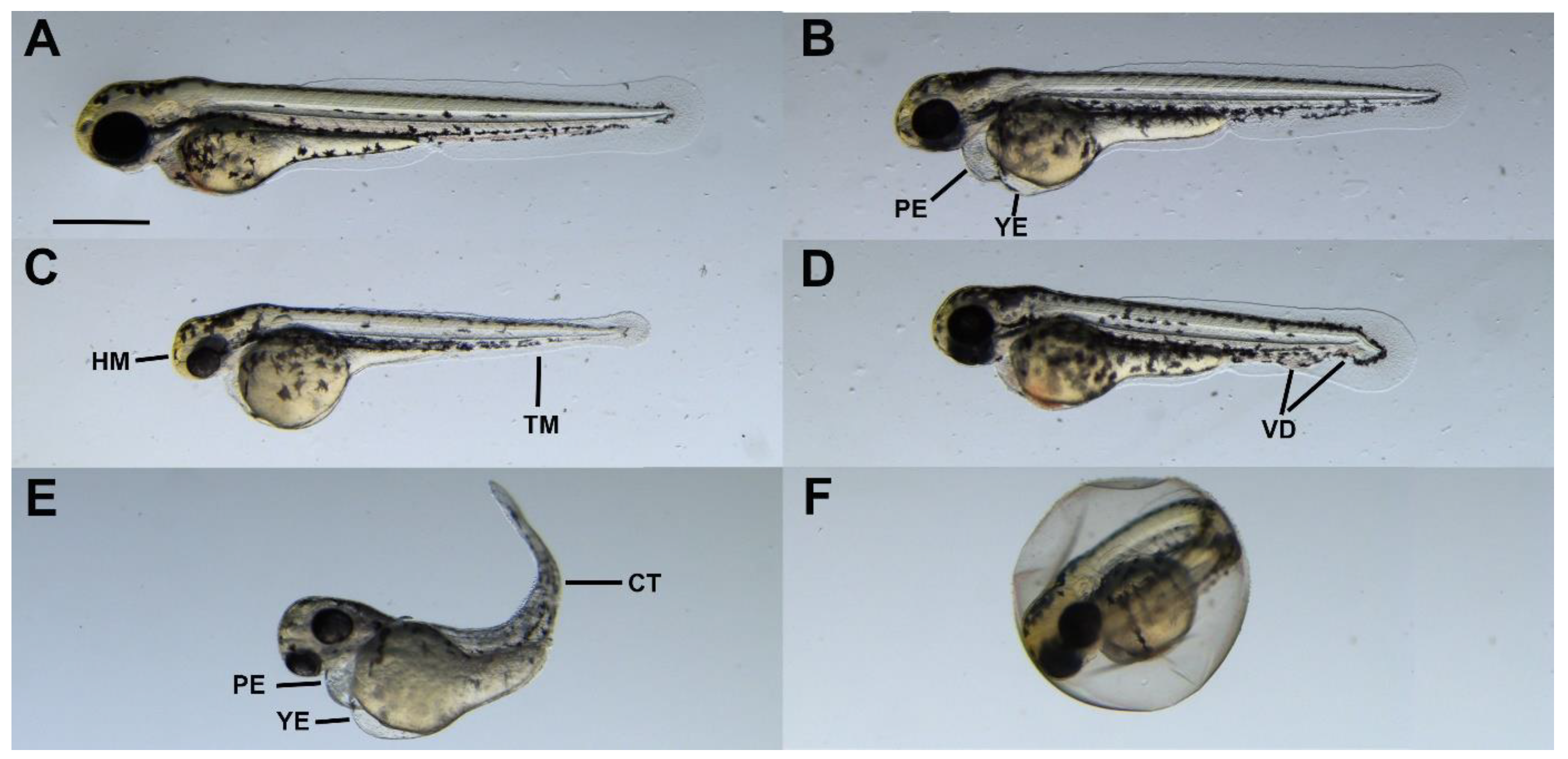 Antibiotics 12 01740 g006