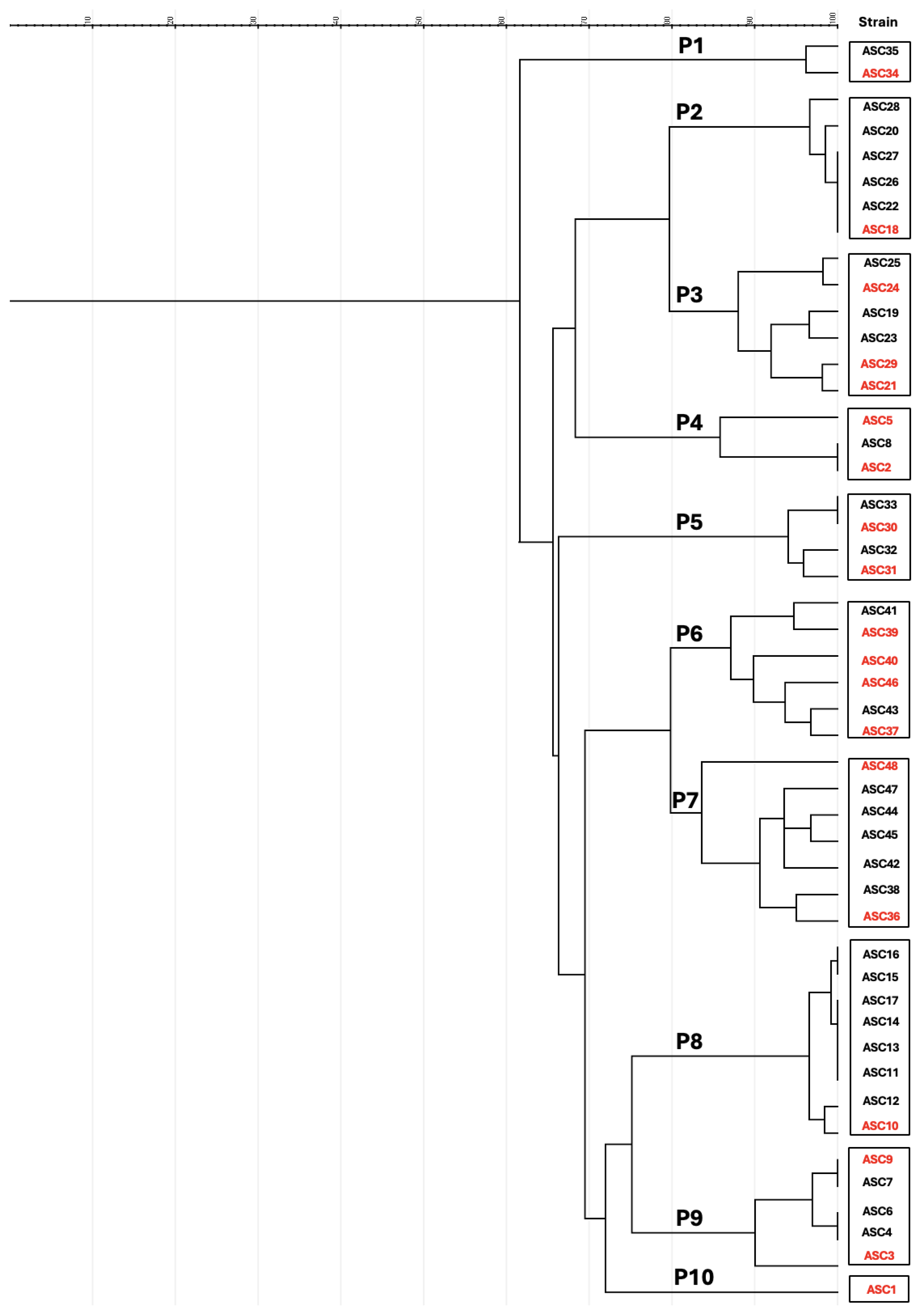 Antibiotics 13 00376 g002