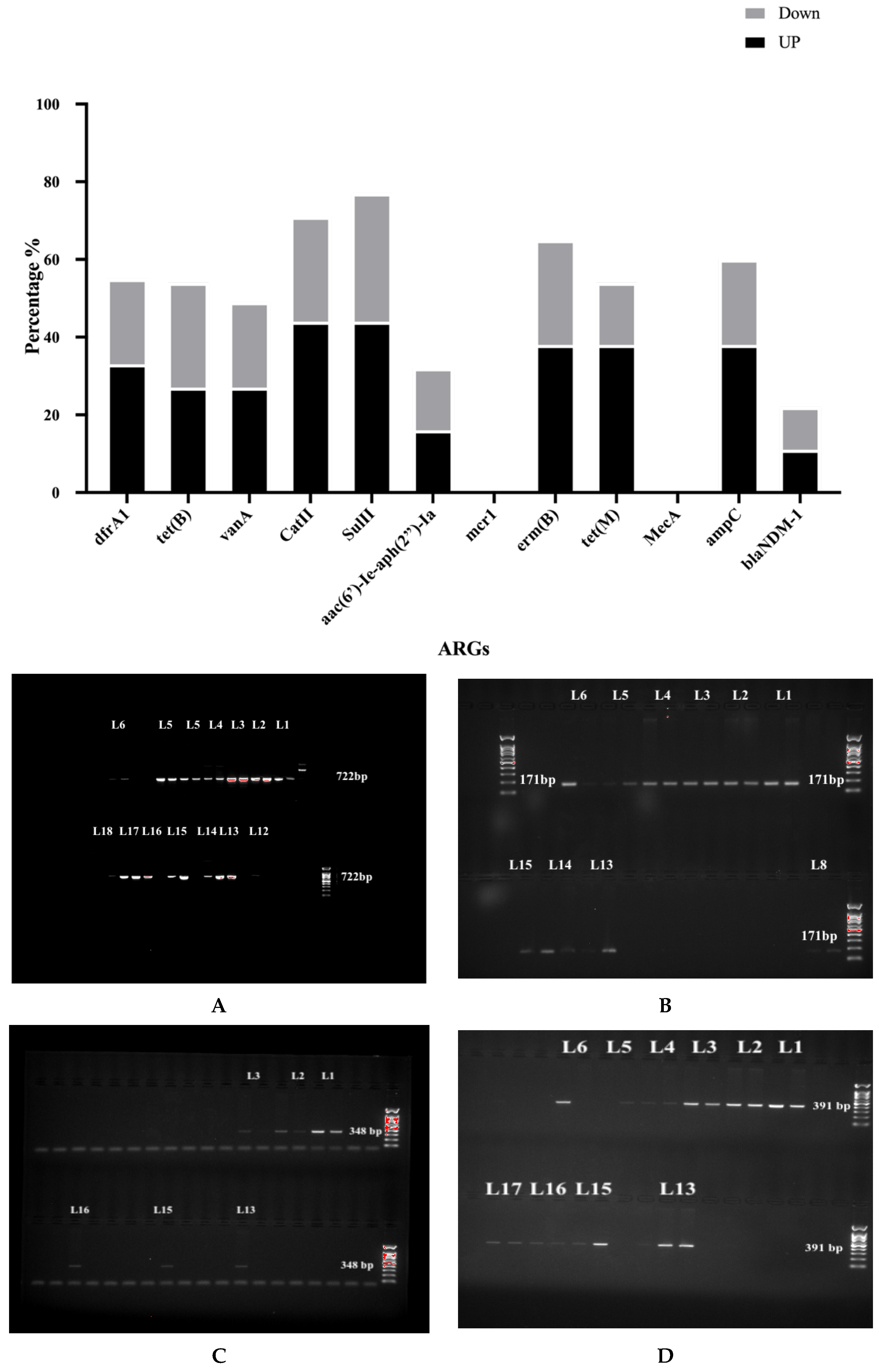 Antibiotics 13 00426 g003