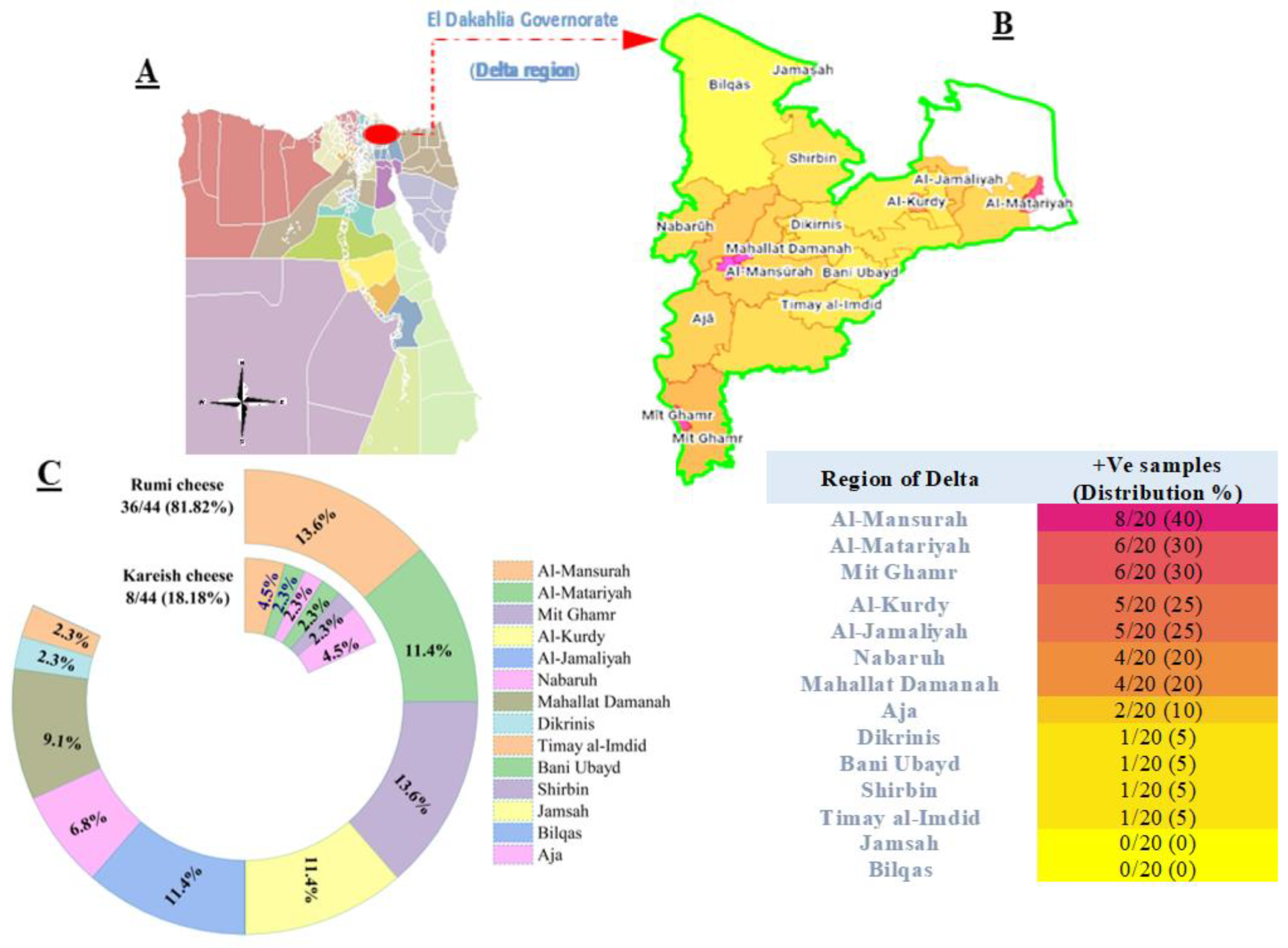 Antibiotics 13 00454 g001