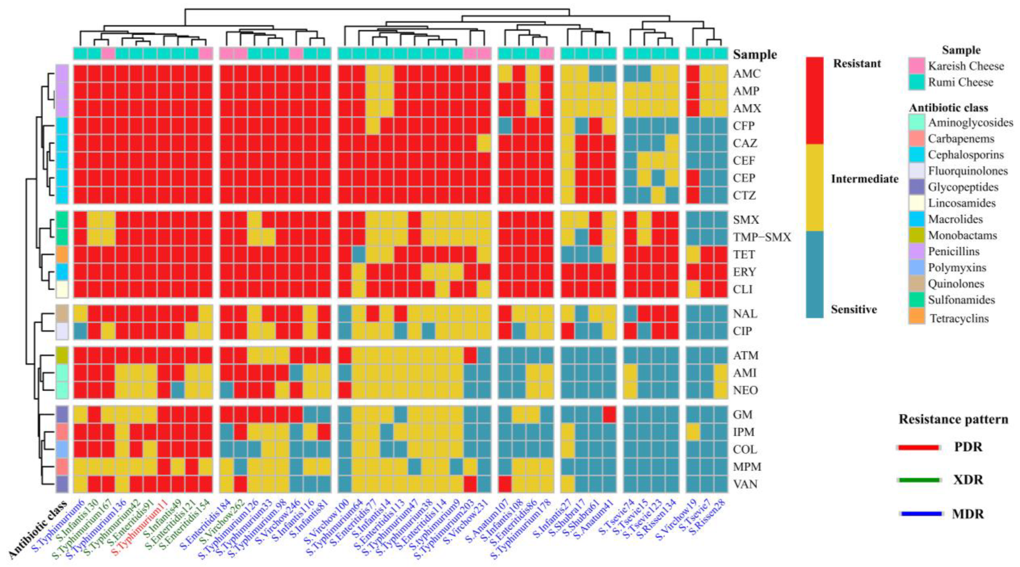 Antibiotics 13 00454 g003
