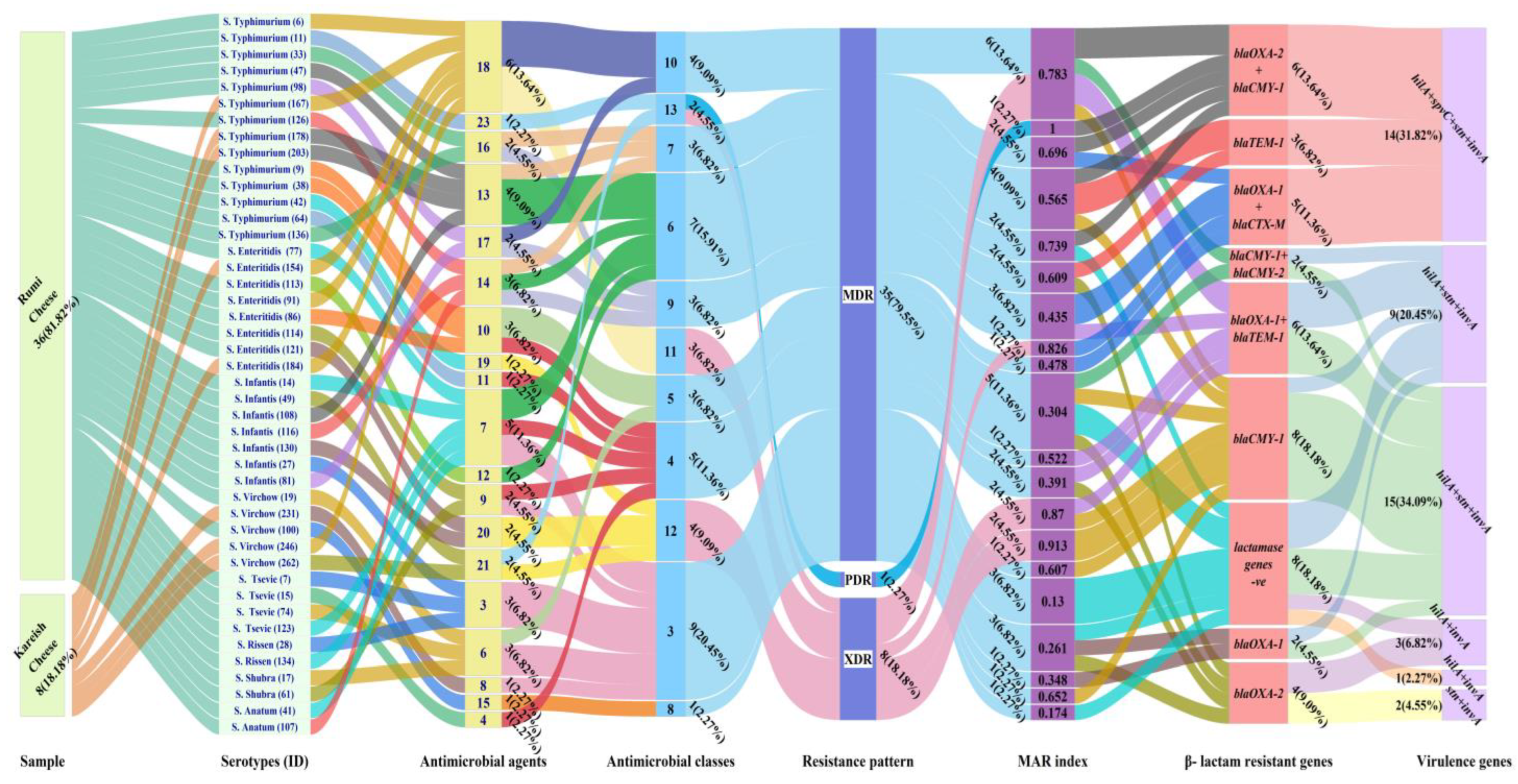 Antibiotics 13 00454 g004