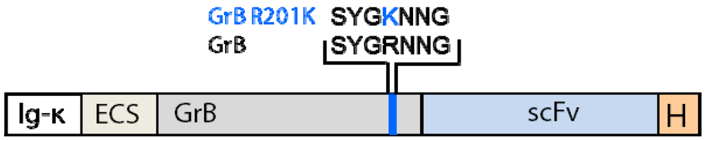 Antibodies 02 00019 g001 1024