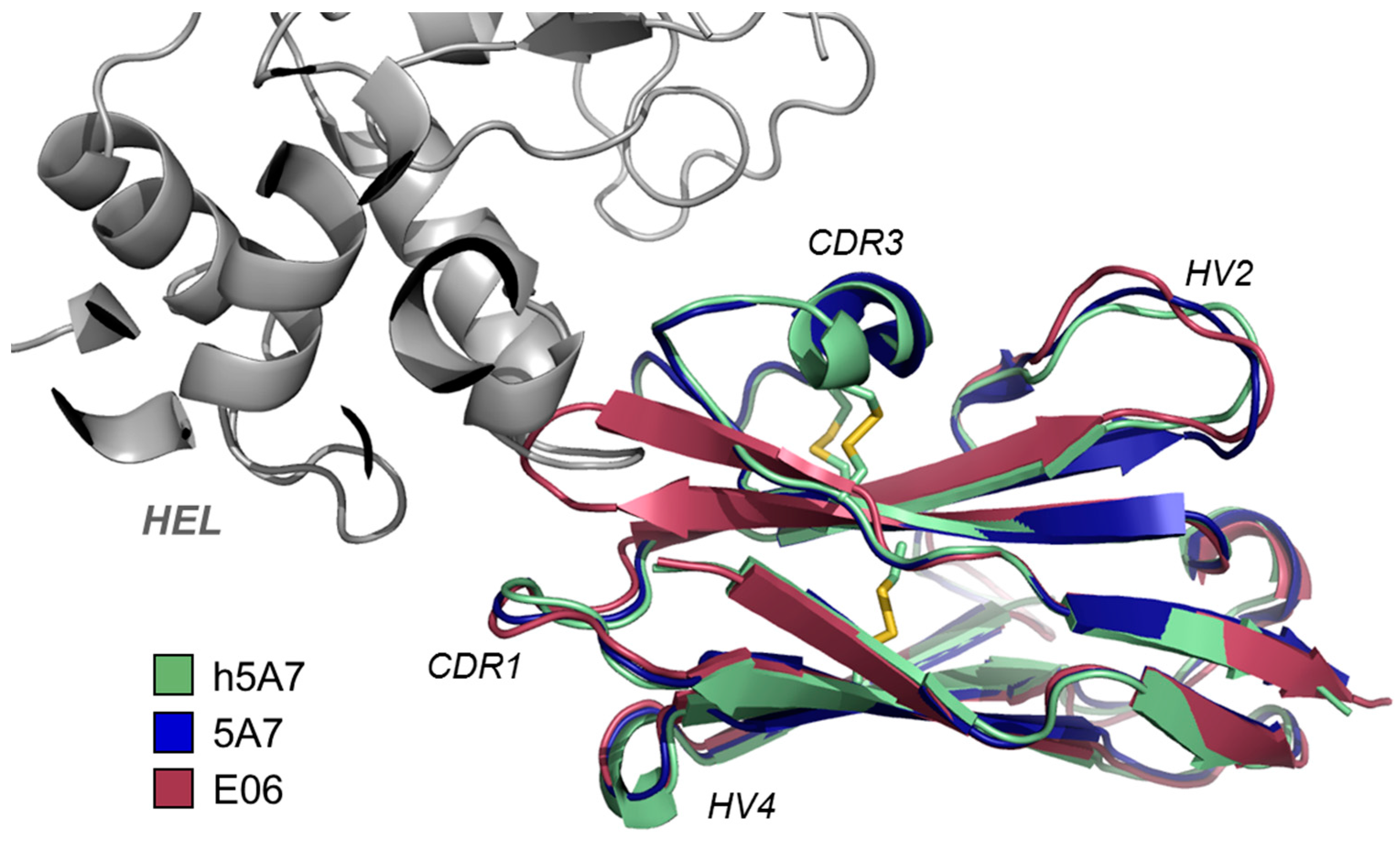 Antibodies 04 00240 g004