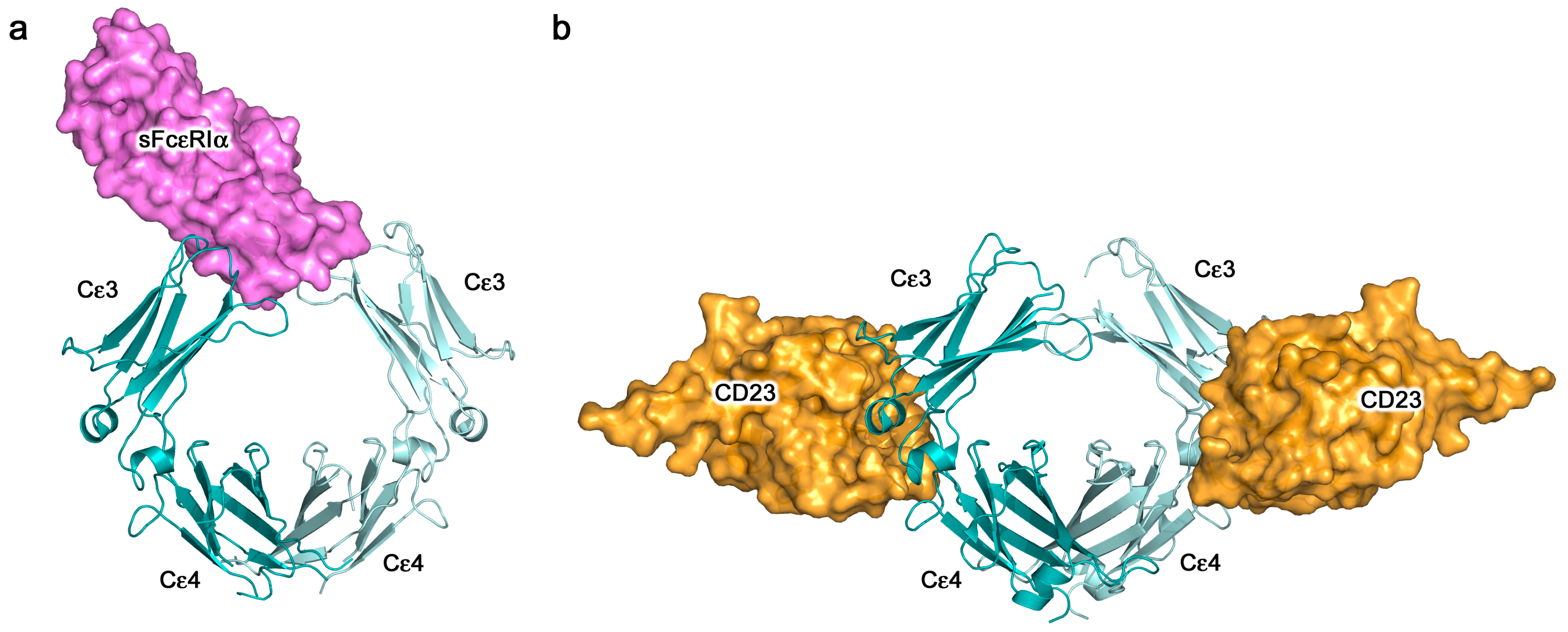 Antibodies 08 00019 g006