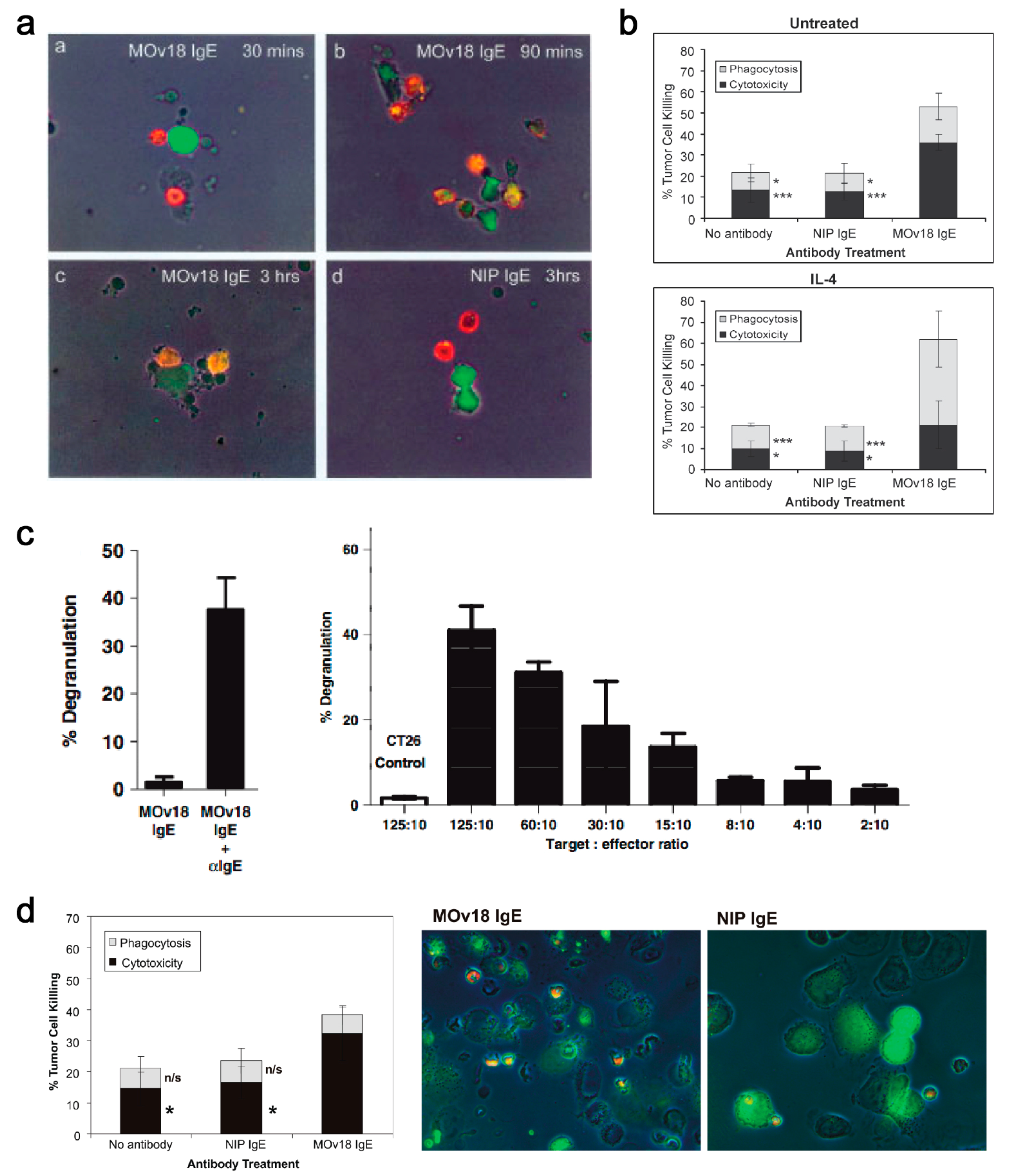 Antibodies 08 00019 g010