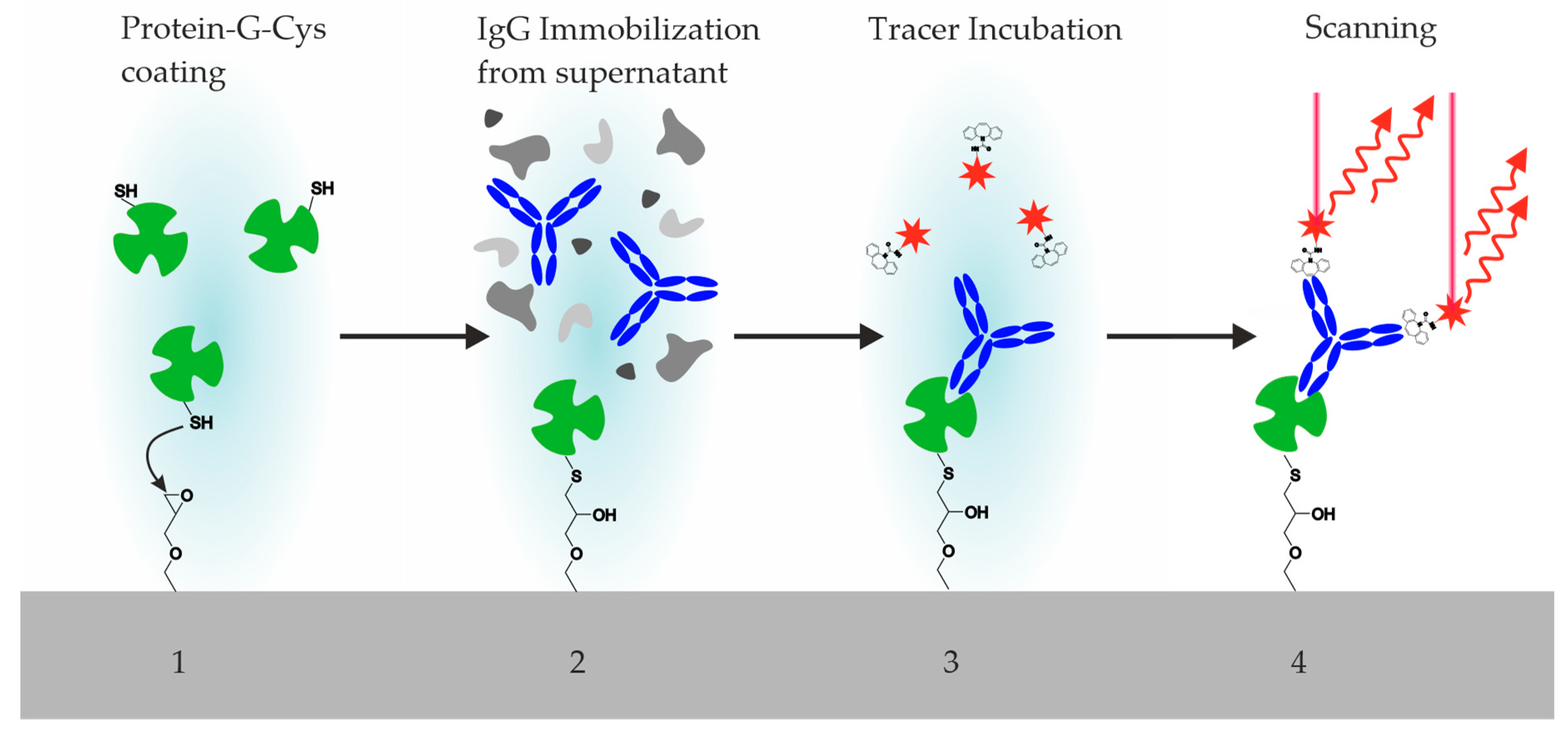 Antibodies 09 00001 g006