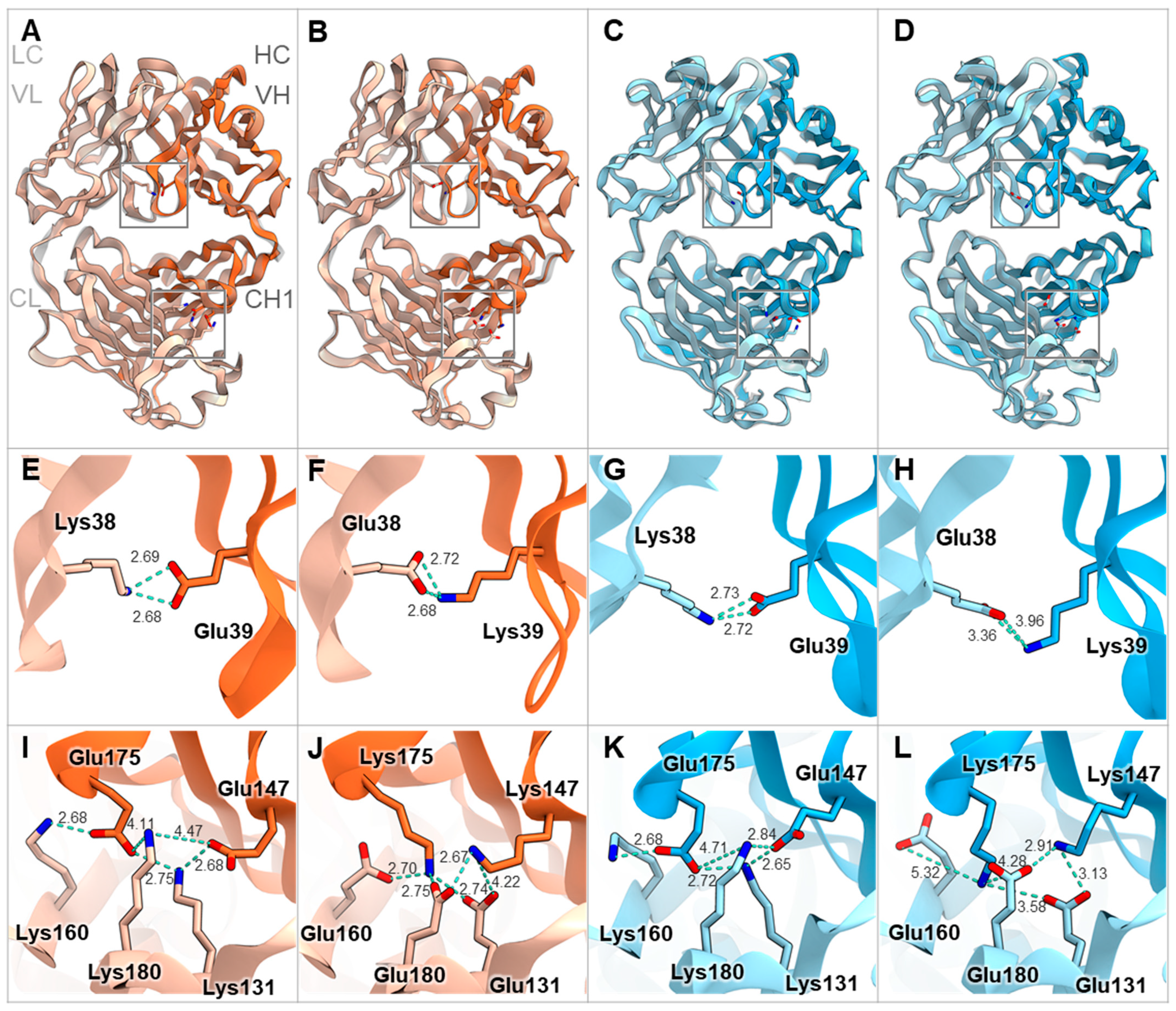 Antibodies 13 00003 g003
