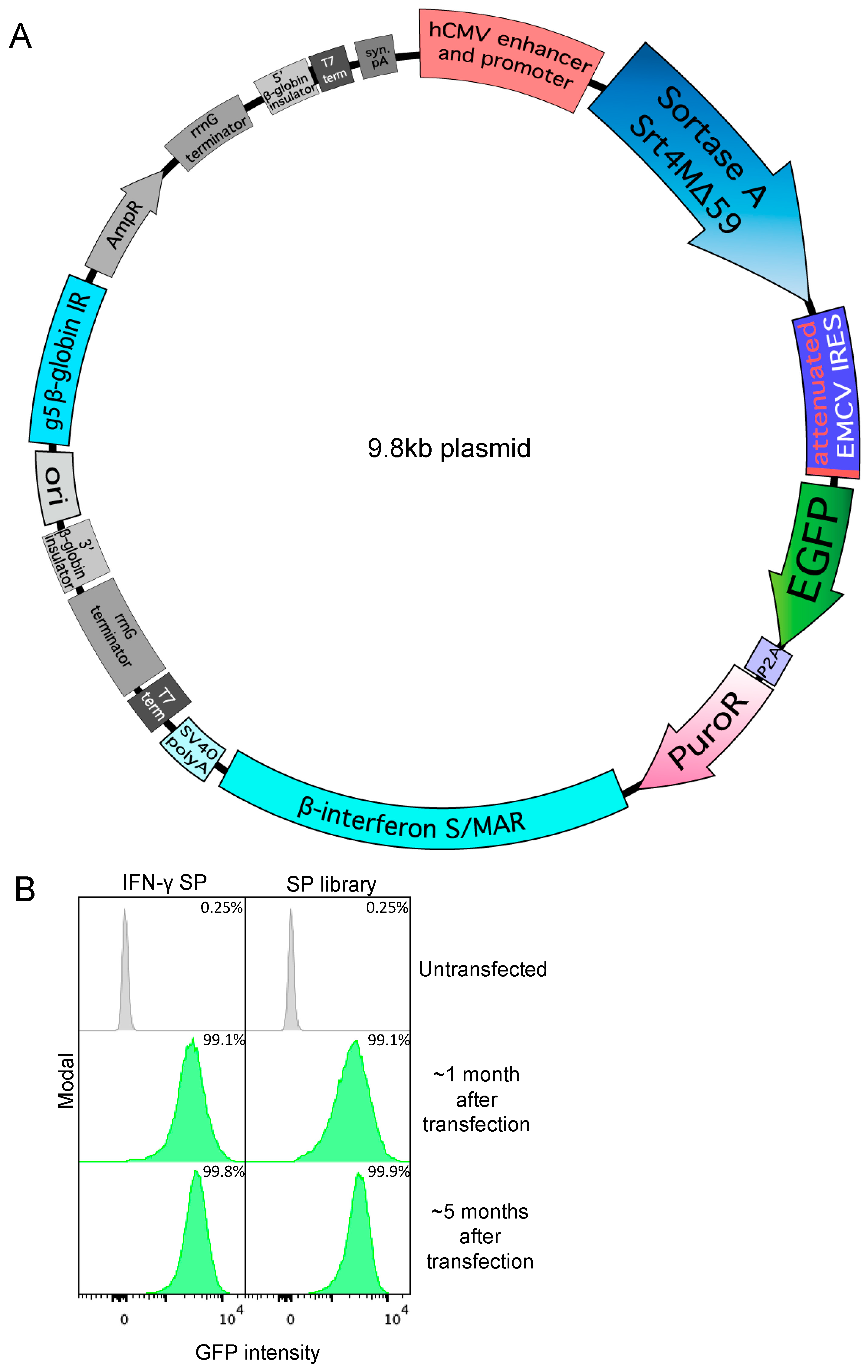 Antibodies 13 00018 g001