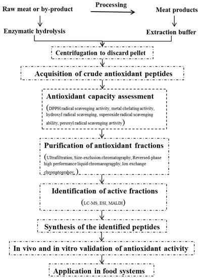 A Review of Antioxidant Peptides Derived from Meat Muscle and By-Products A Review of Antioxidant Peptides Derived from Meat Muscle and By-Products