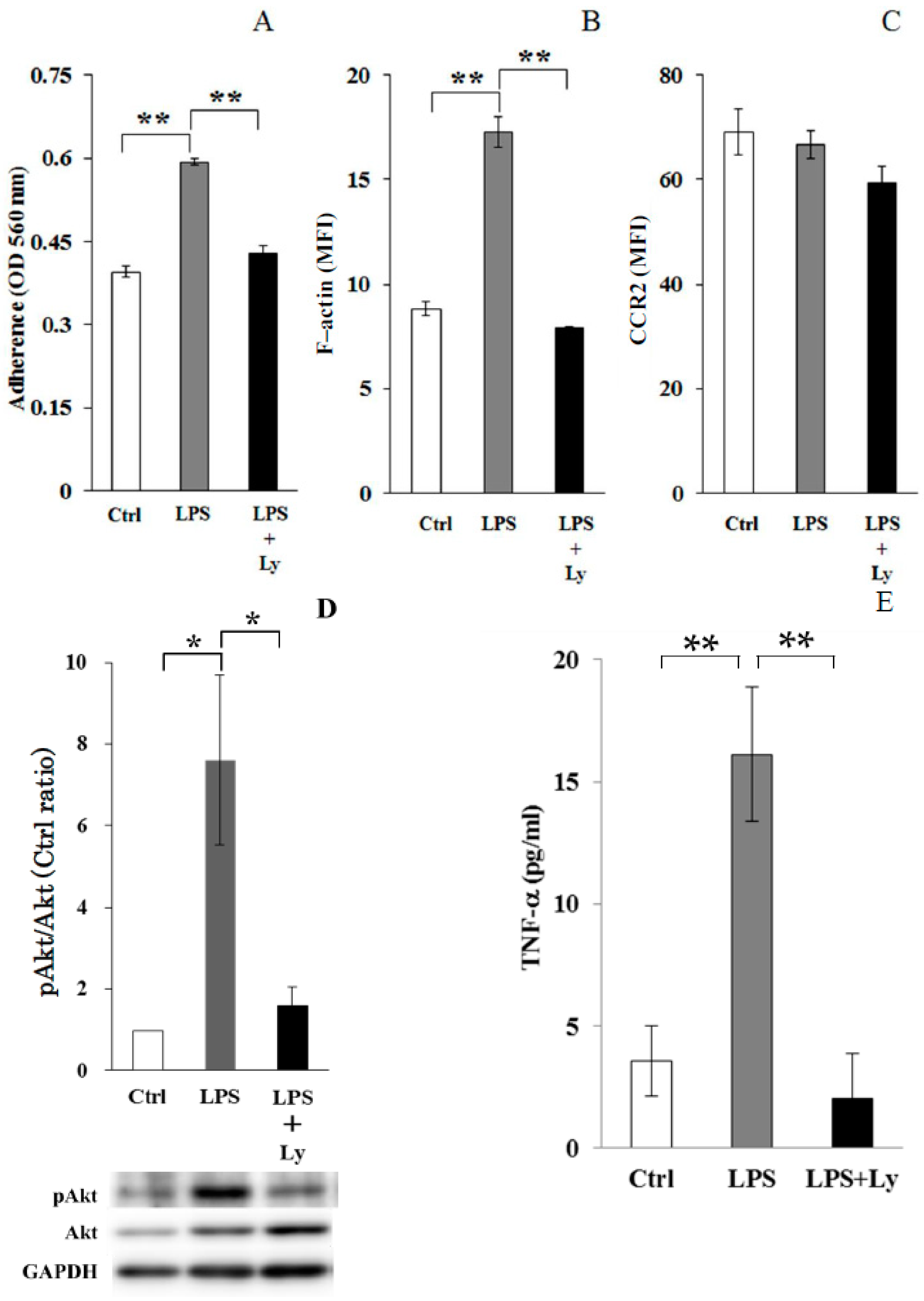 Antioxidants 07 00138 g002 Antioxidants 07 00138 g002
