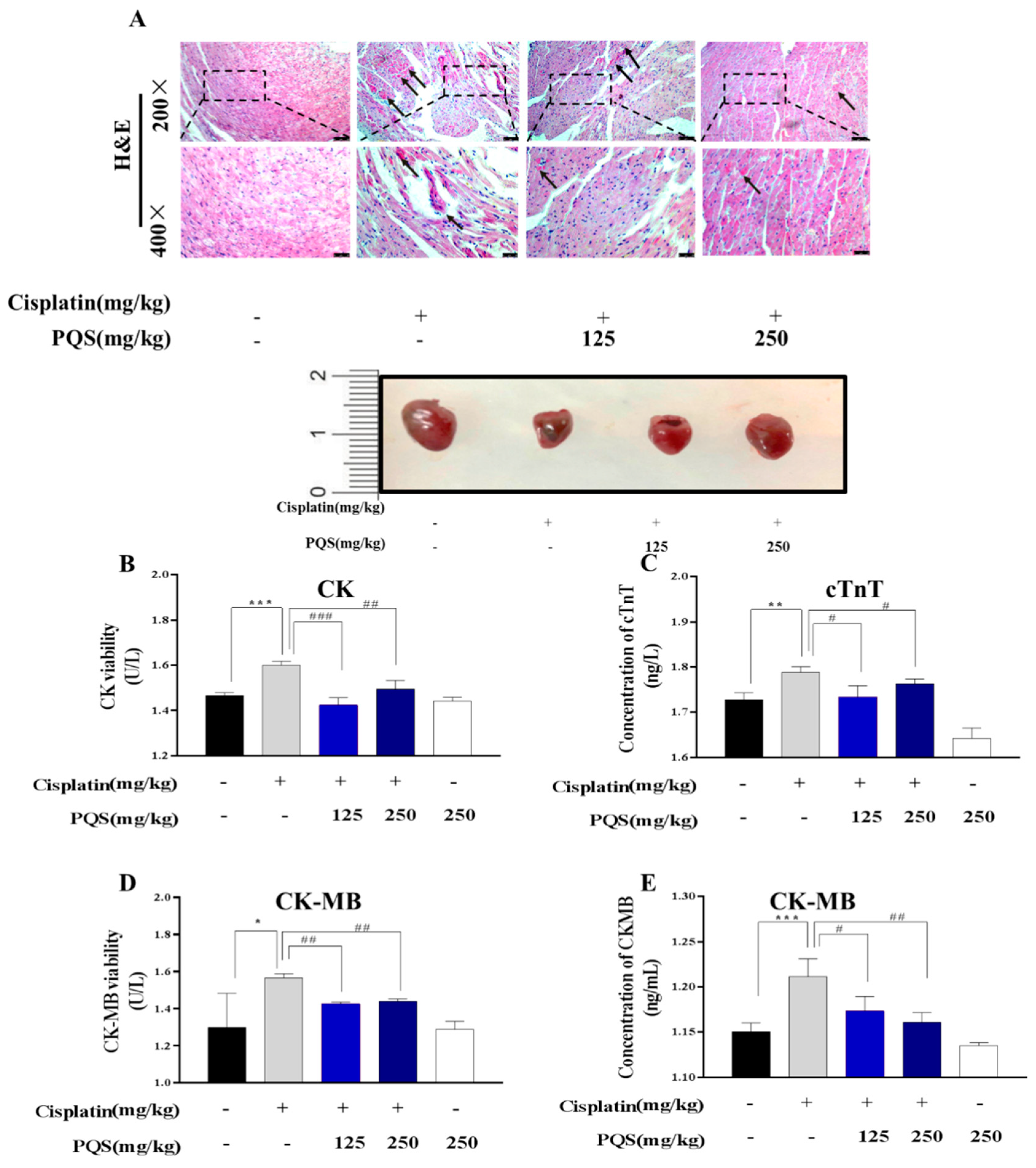 Antioxidants 08 00347 g002 Antioxidants 08 00347 g002