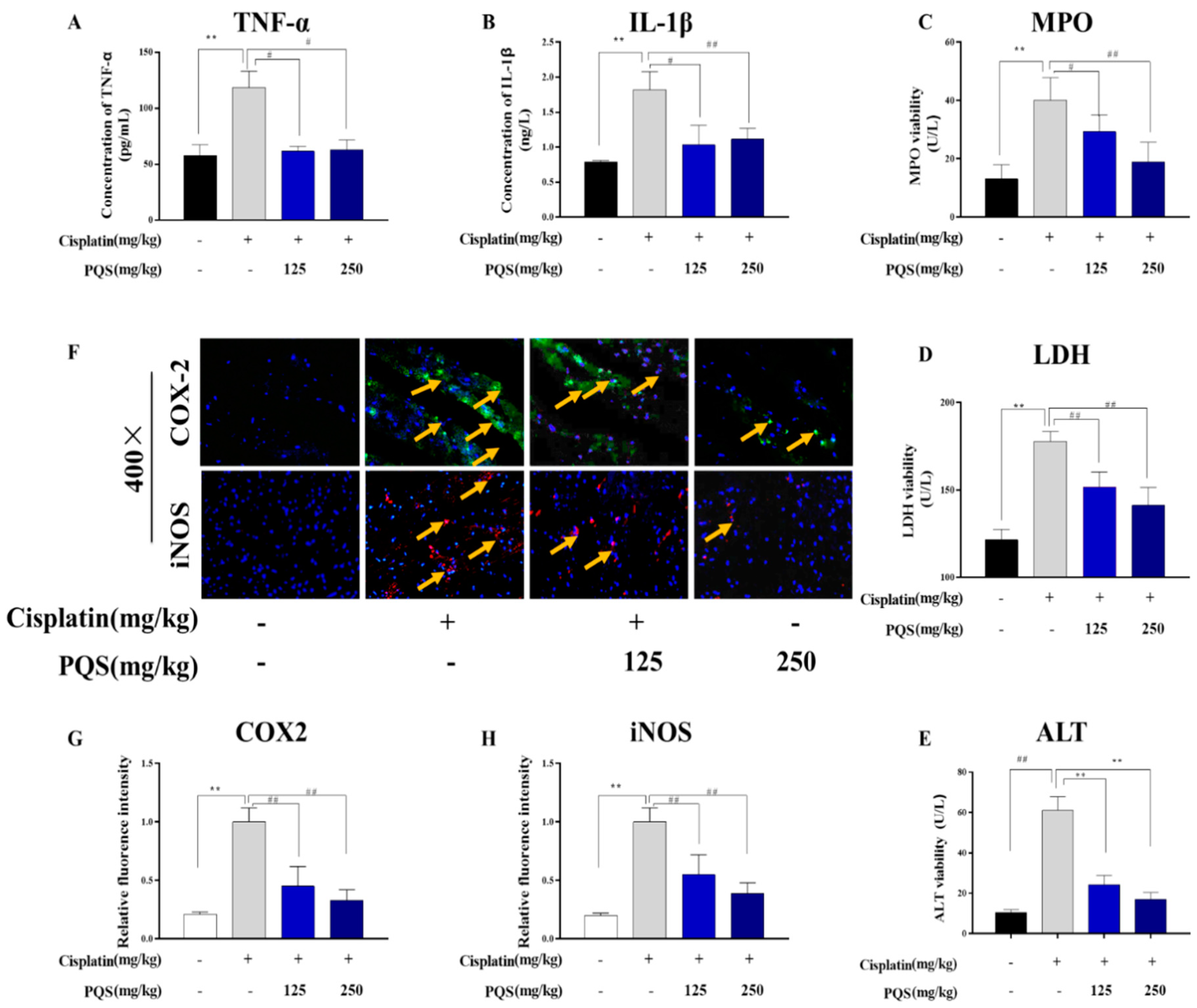 Antioxidants 08 00347 g004 Antioxidants 08 00347 g004
