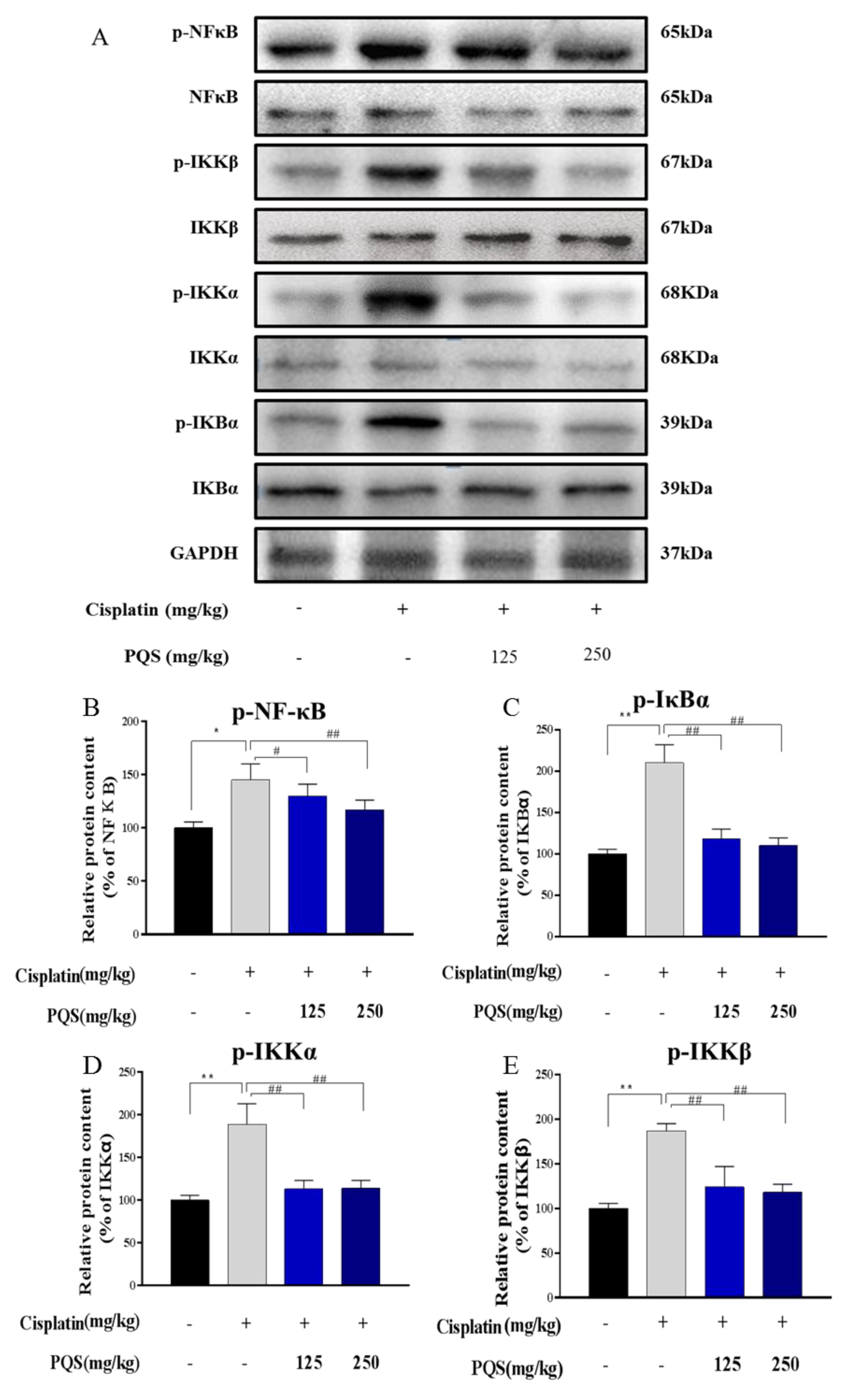 Antioxidants 08 00347 g006 Antioxidants 08 00347 g006