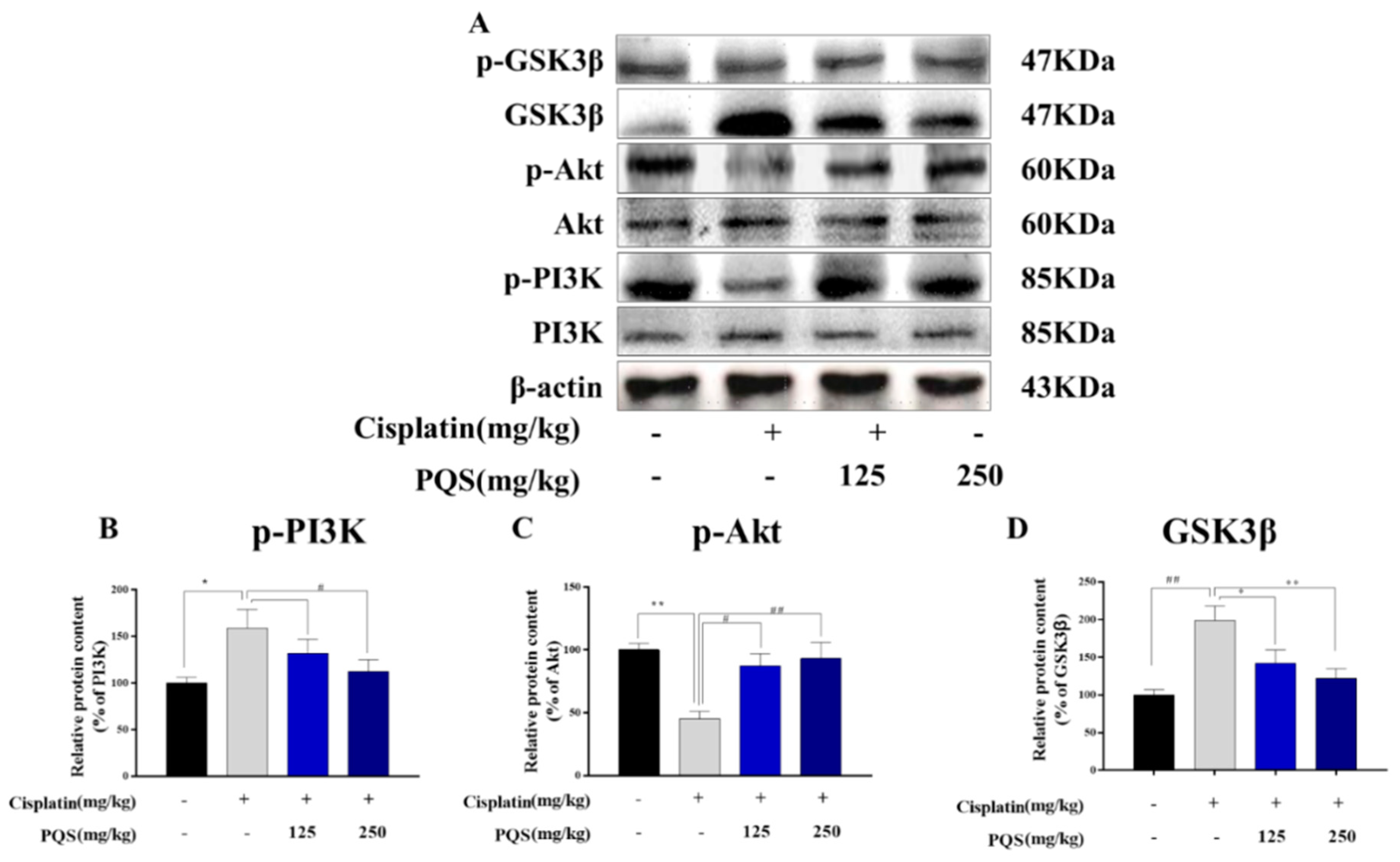 Antioxidants 08 00347 g008 Antioxidants 08 00347 g008