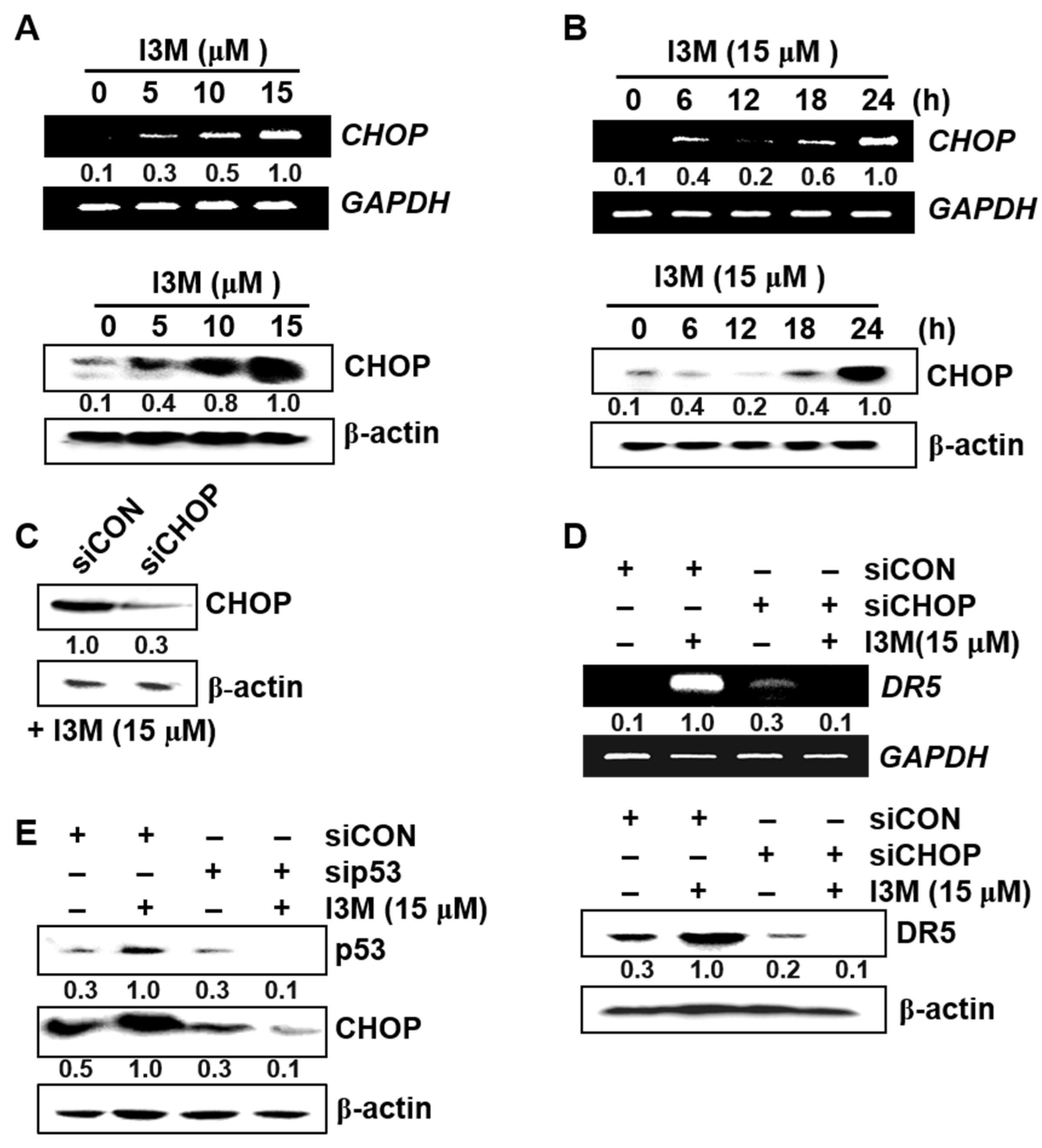 Antioxidants 08 00423 g004