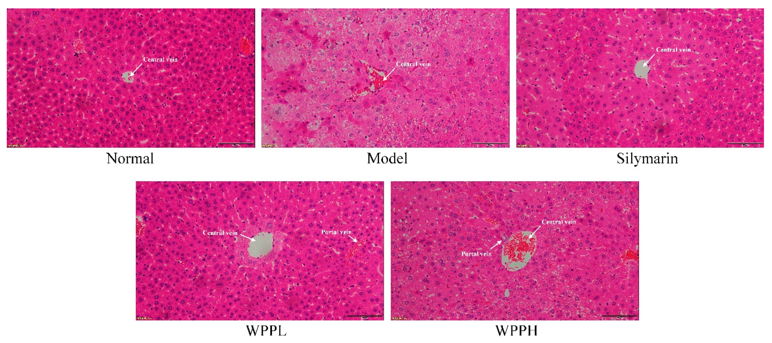 Antioxidants 08 00524 g003