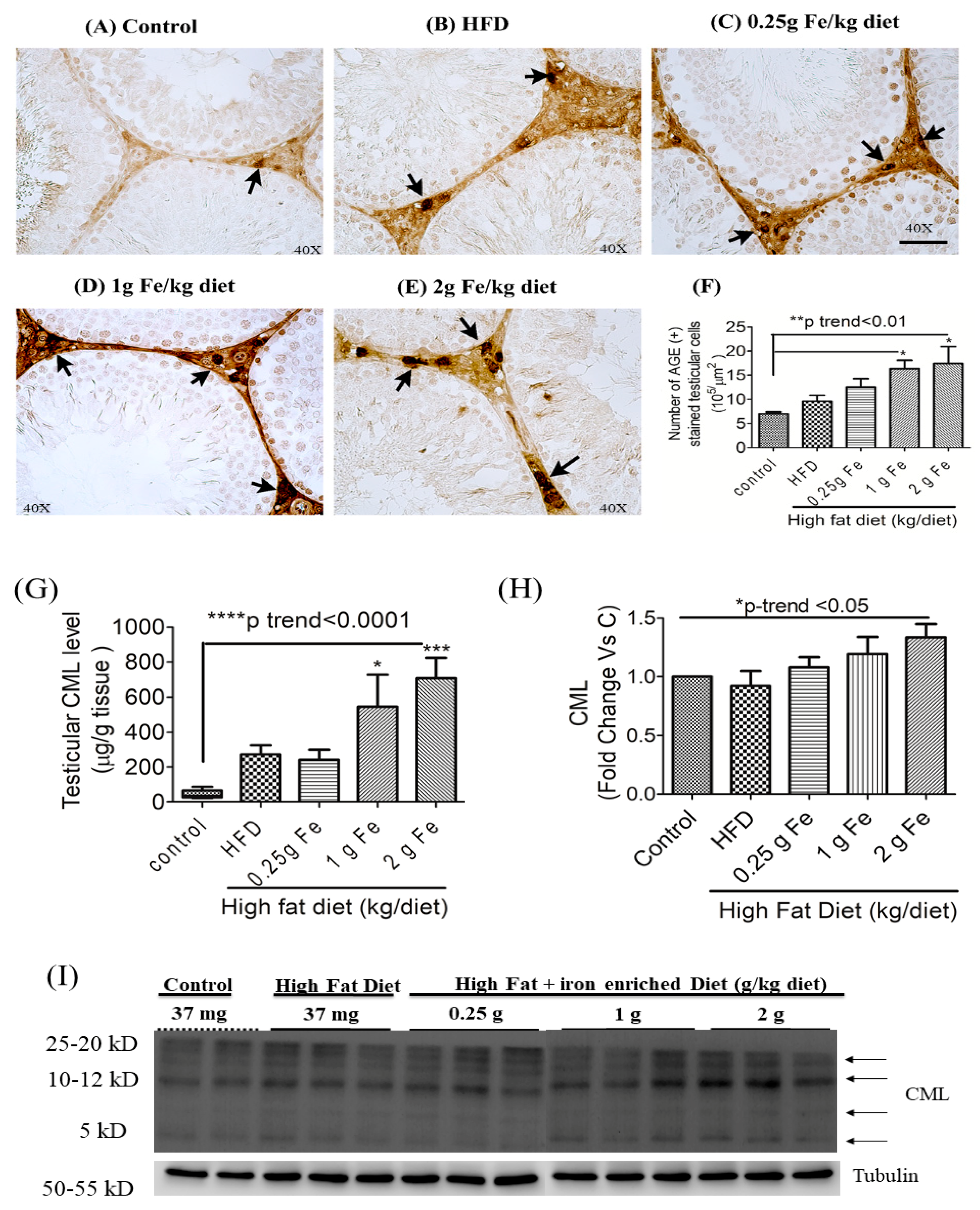Antioxidants 09 00261 g003a Antioxidants 09 00261 g003a