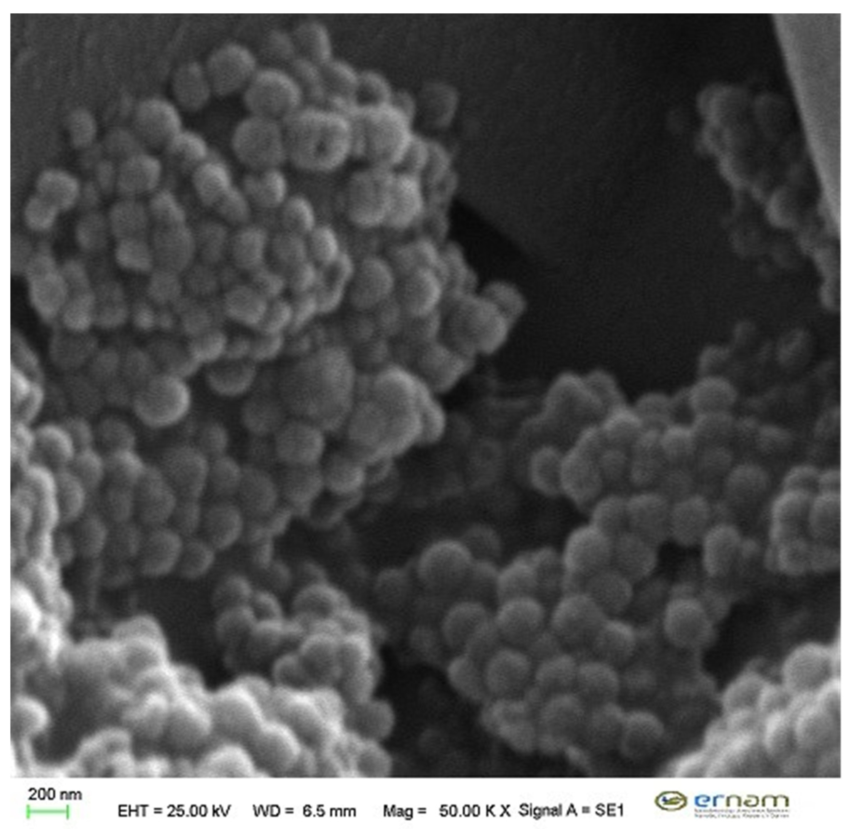 Antioxidants 09 00293 g004