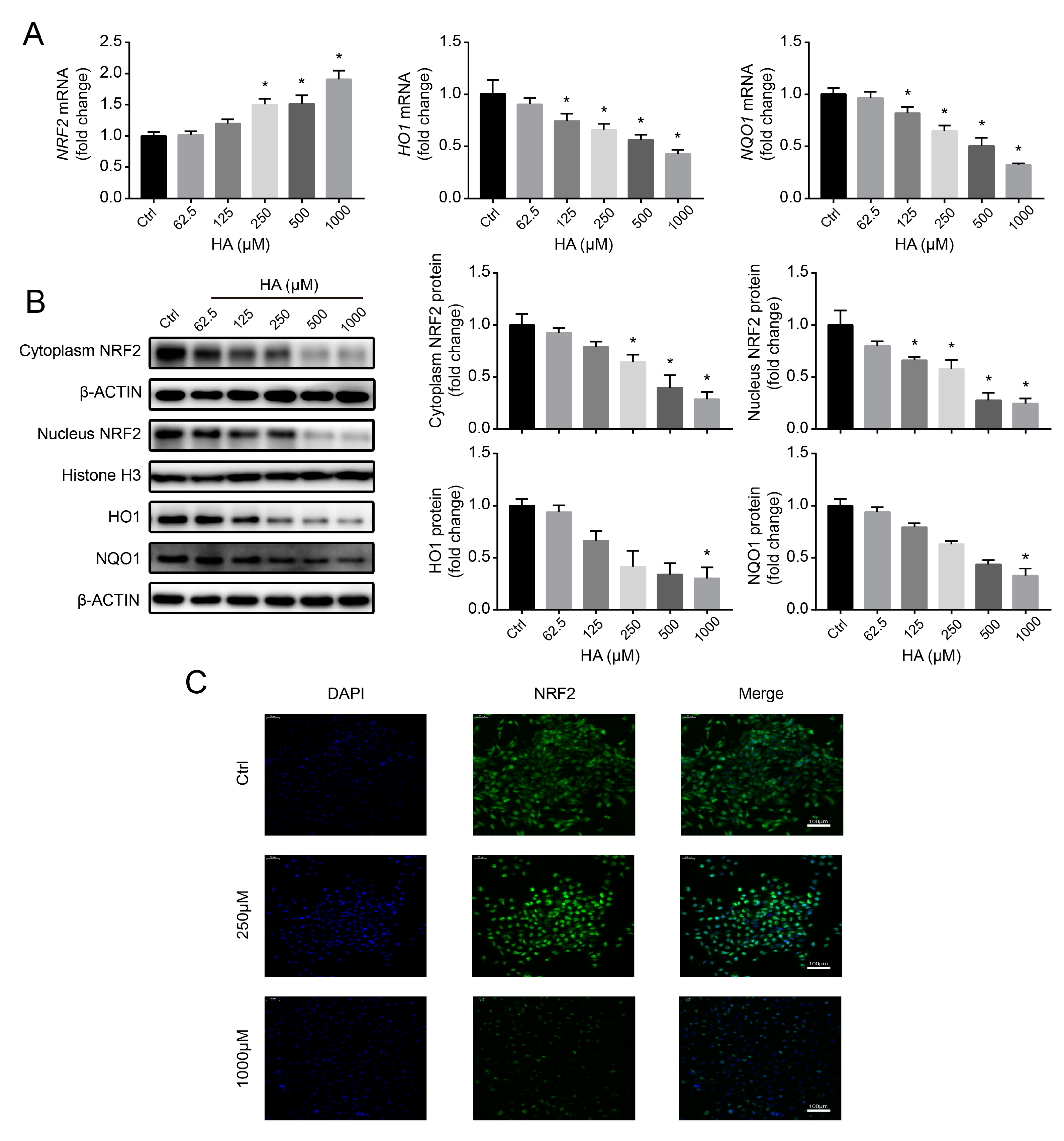 Antioxidants 09 00783 g004