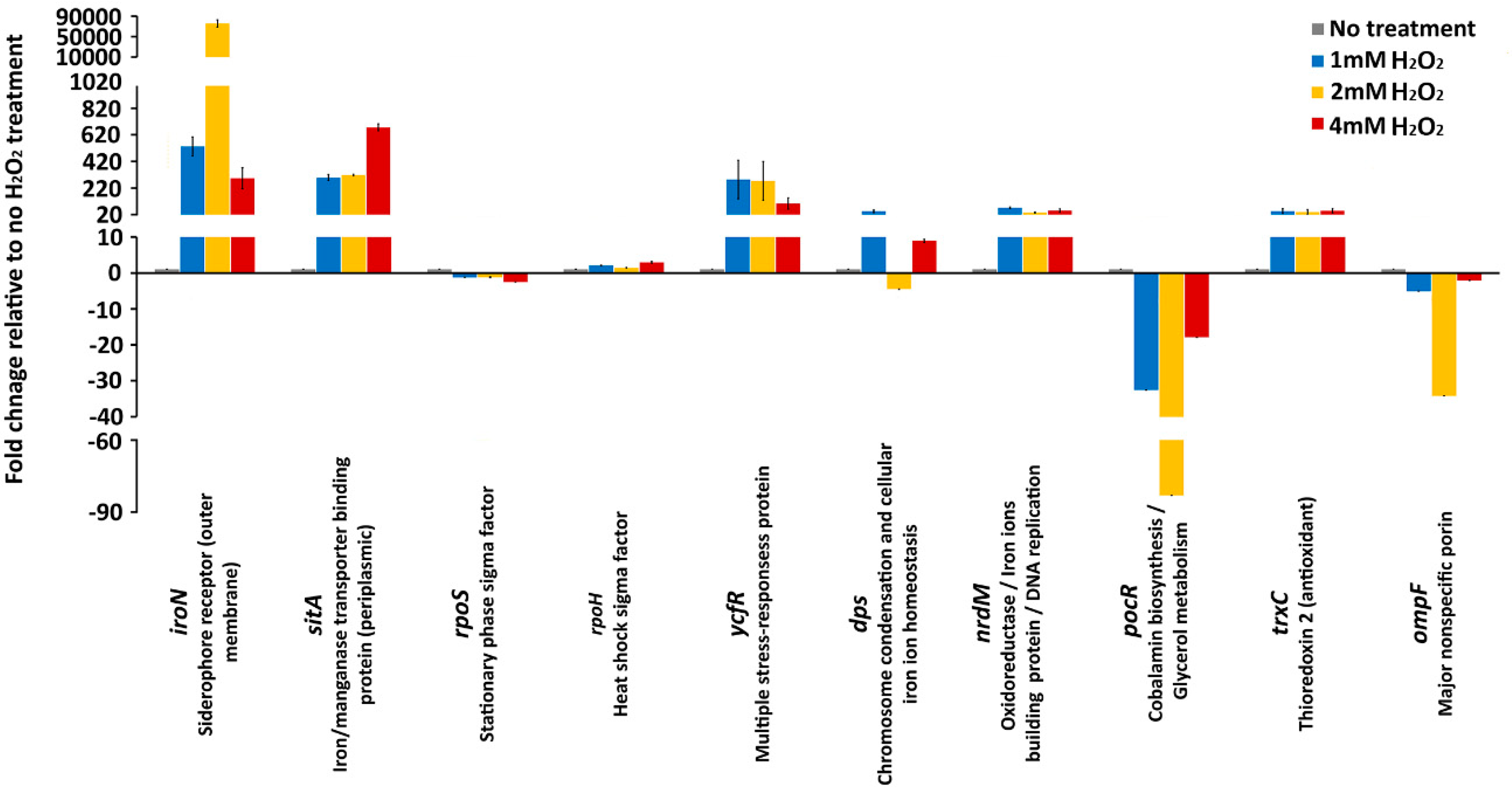 Antioxidants 09 00849 g002 Antioxidants 09 00849 g002