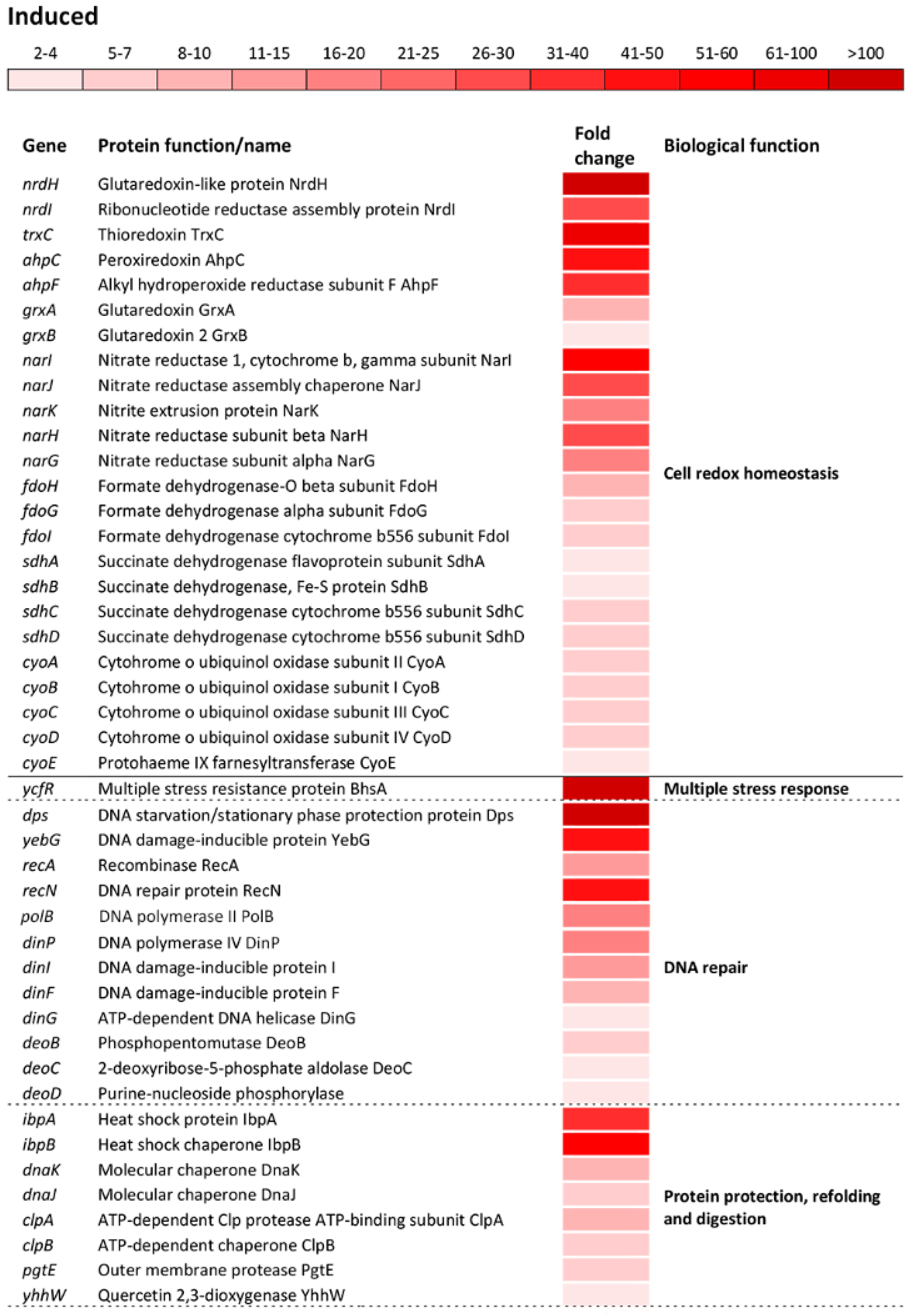 Antioxidants 09 00849 g004a Antioxidants 09 00849 g004a
