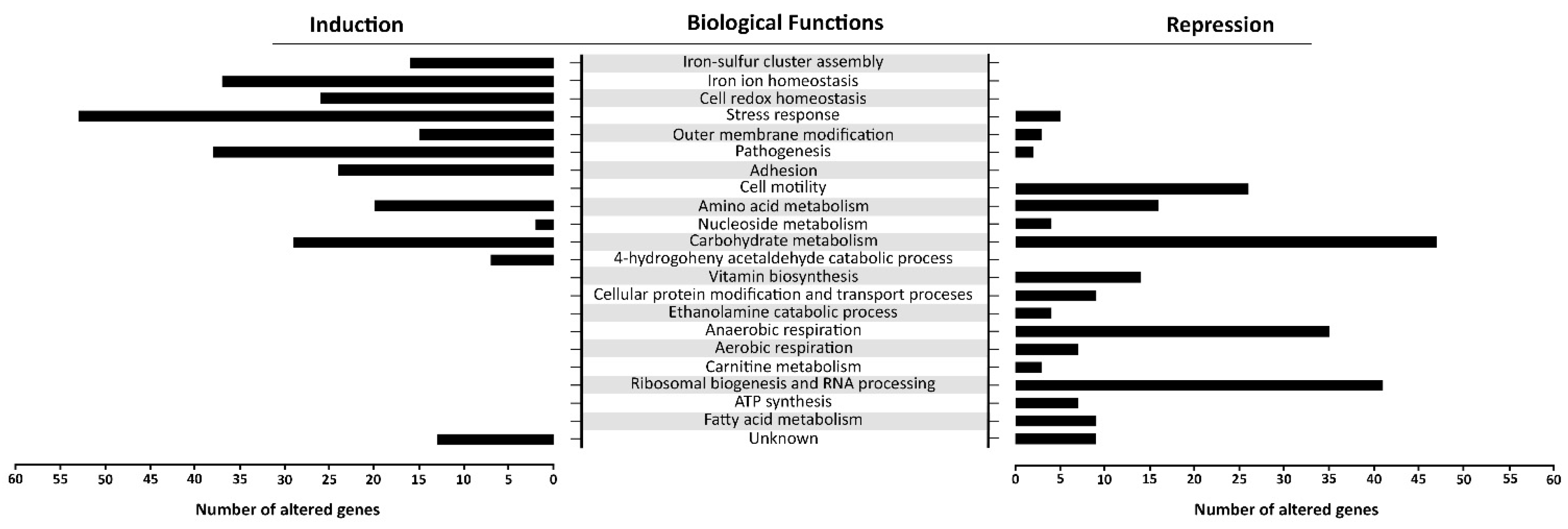 Antioxidants 09 00849 g006 Antioxidants 09 00849 g006