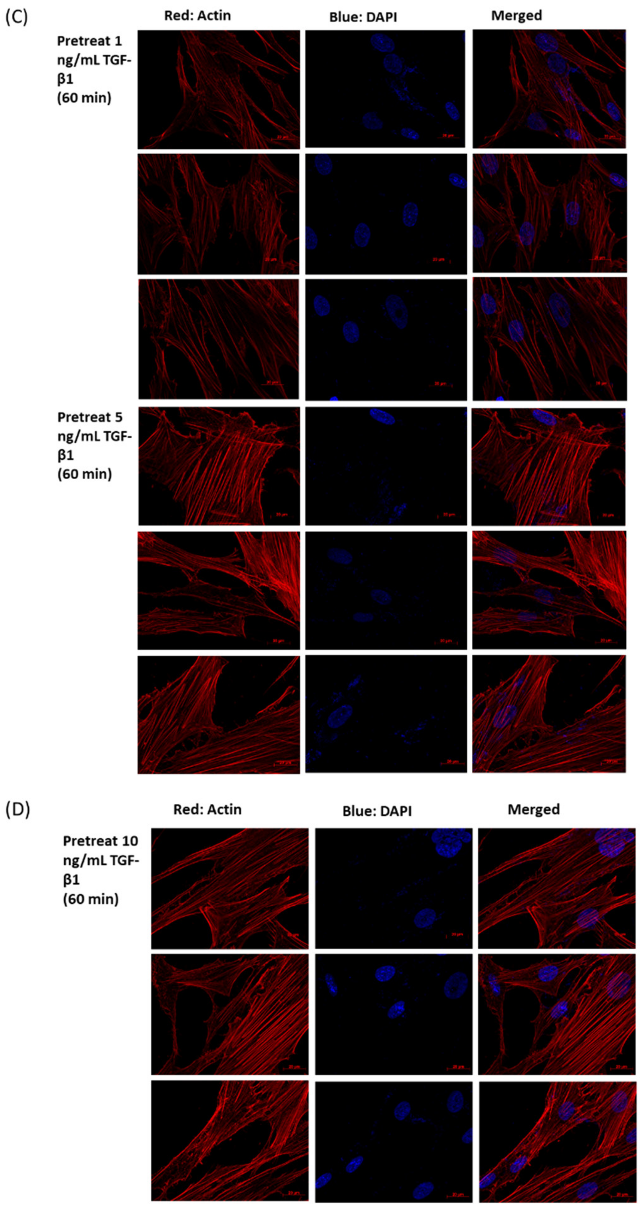 Antioxidants 10 00107 g003b