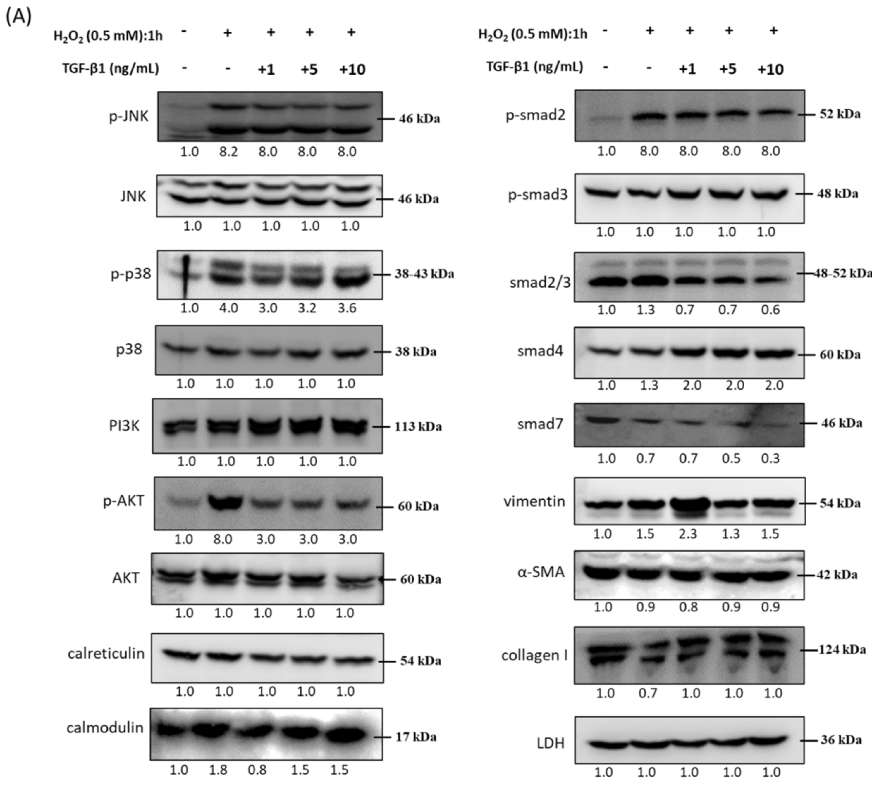 Antioxidants 10 00107 g005a