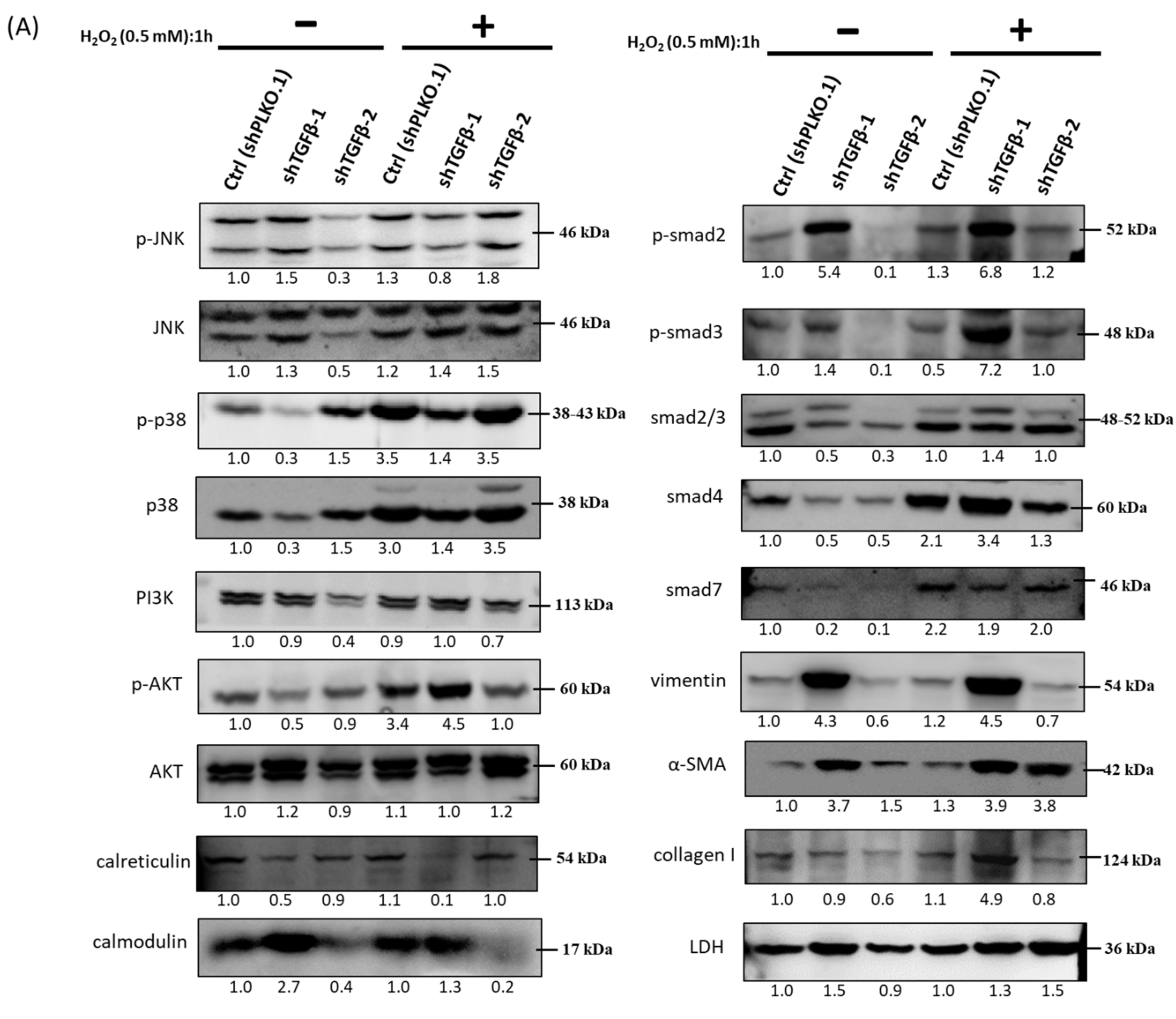 Antioxidants 10 00107 g008a