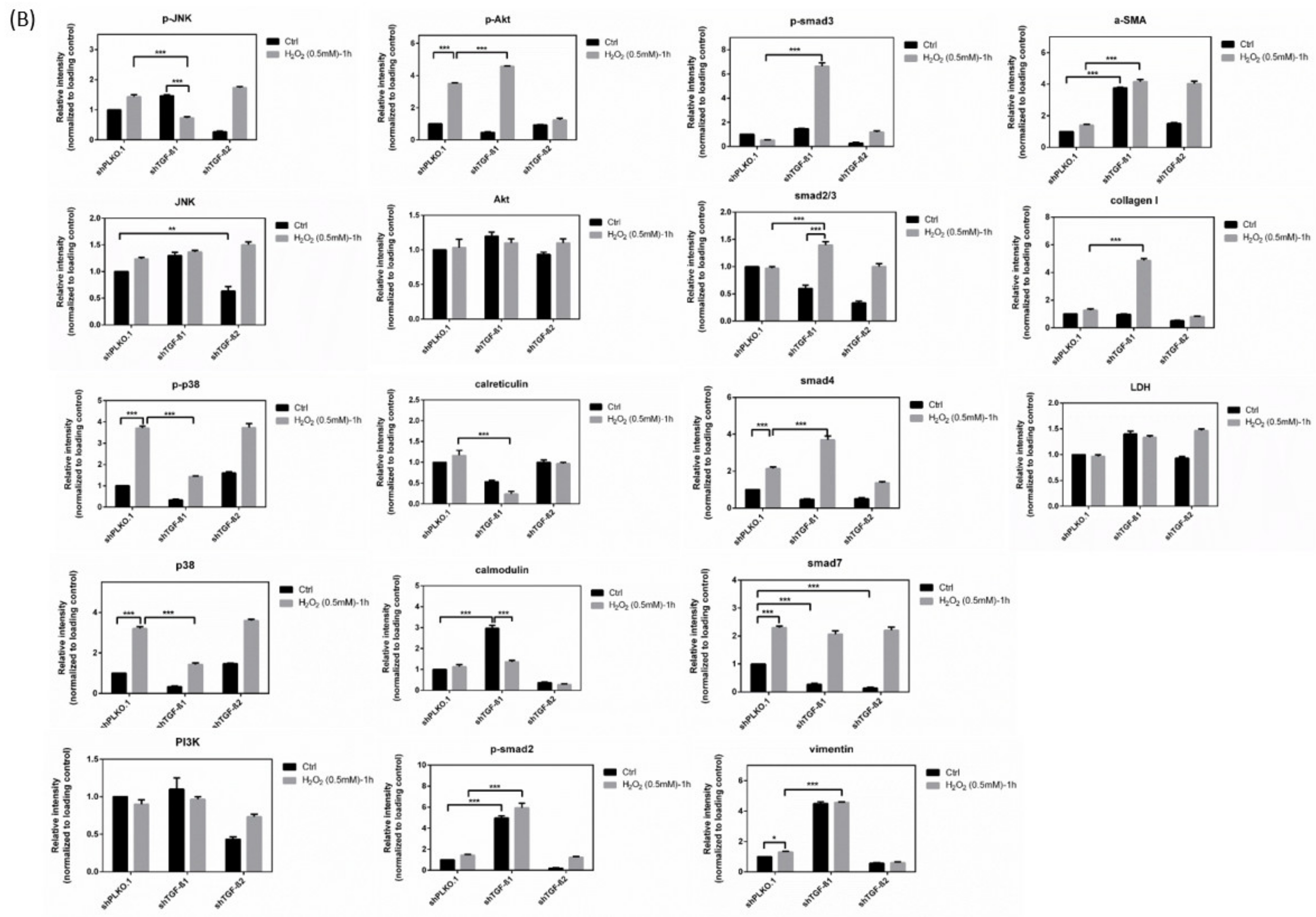 Antioxidants 10 00107 g008b