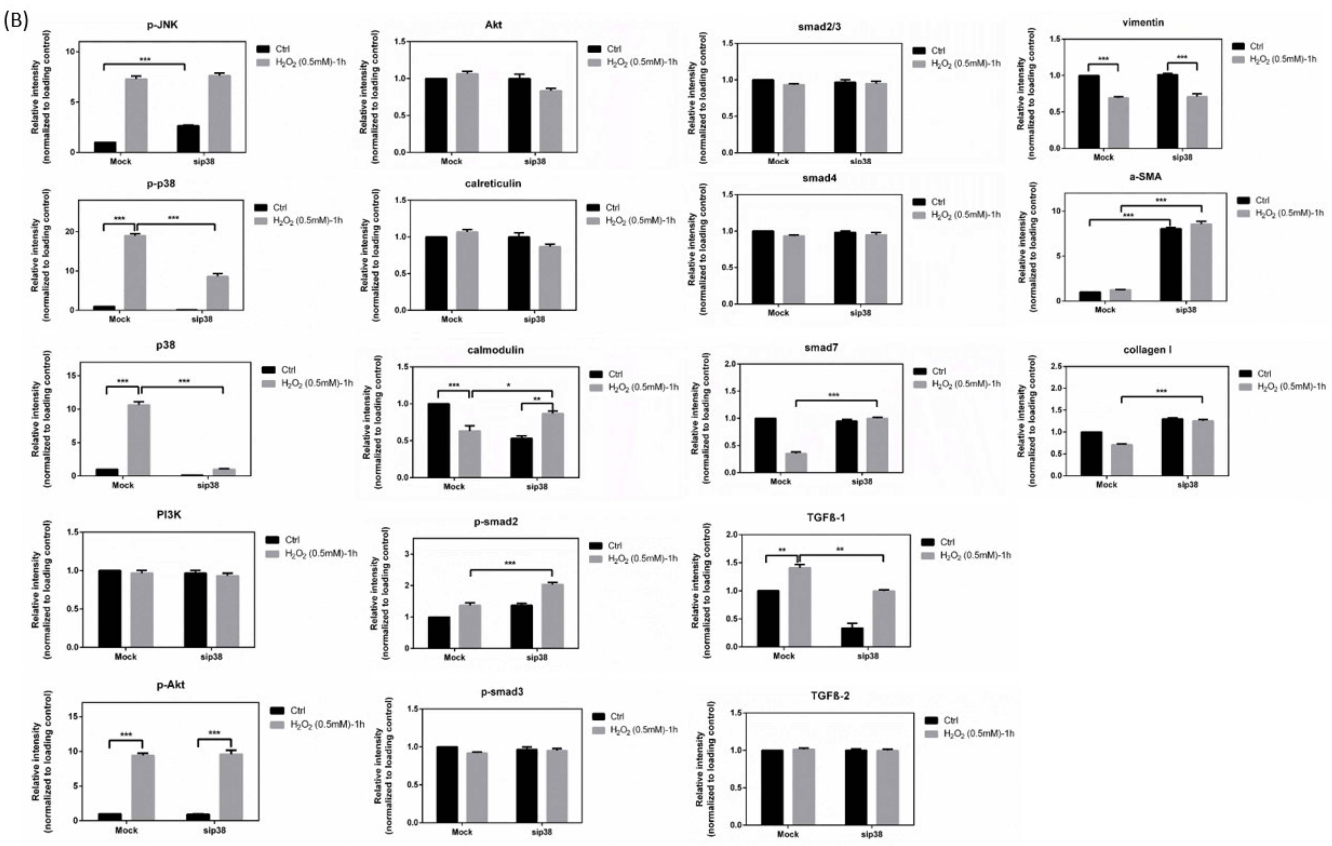 Antioxidants 10 00107 g010b
