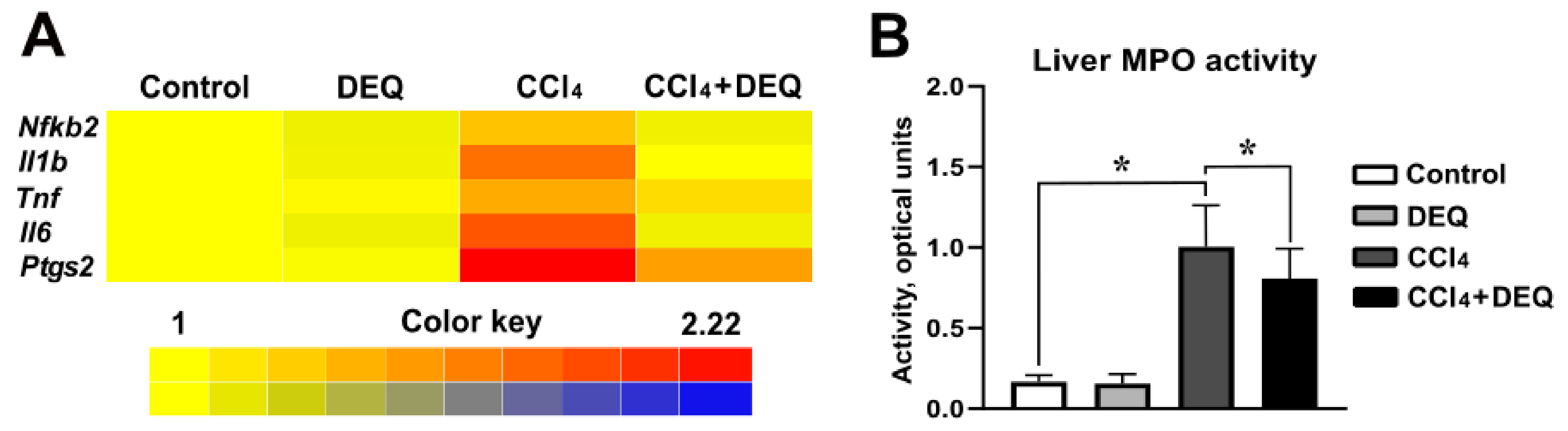 Antioxidants 10 00122 g003