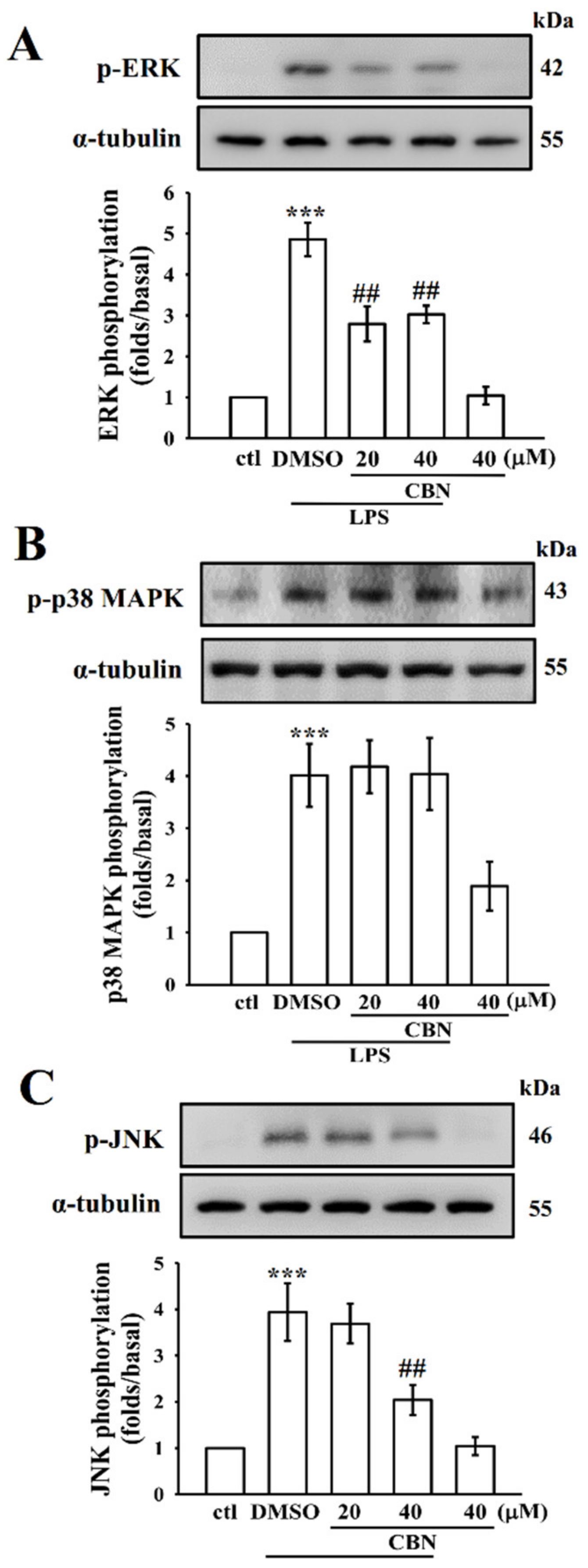 Antioxidants 10 00553 g002
