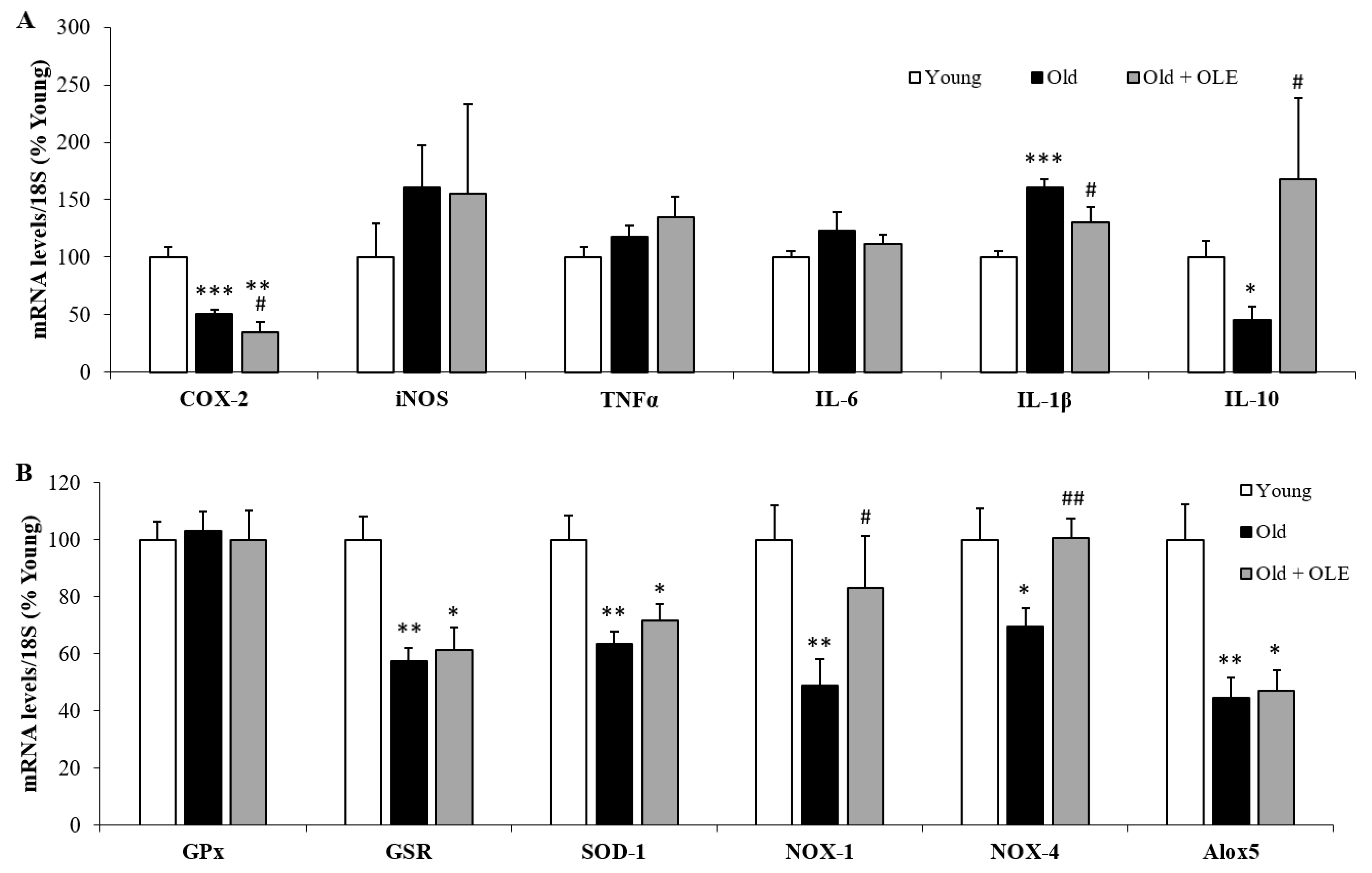 Antioxidants 10 00737 g007
