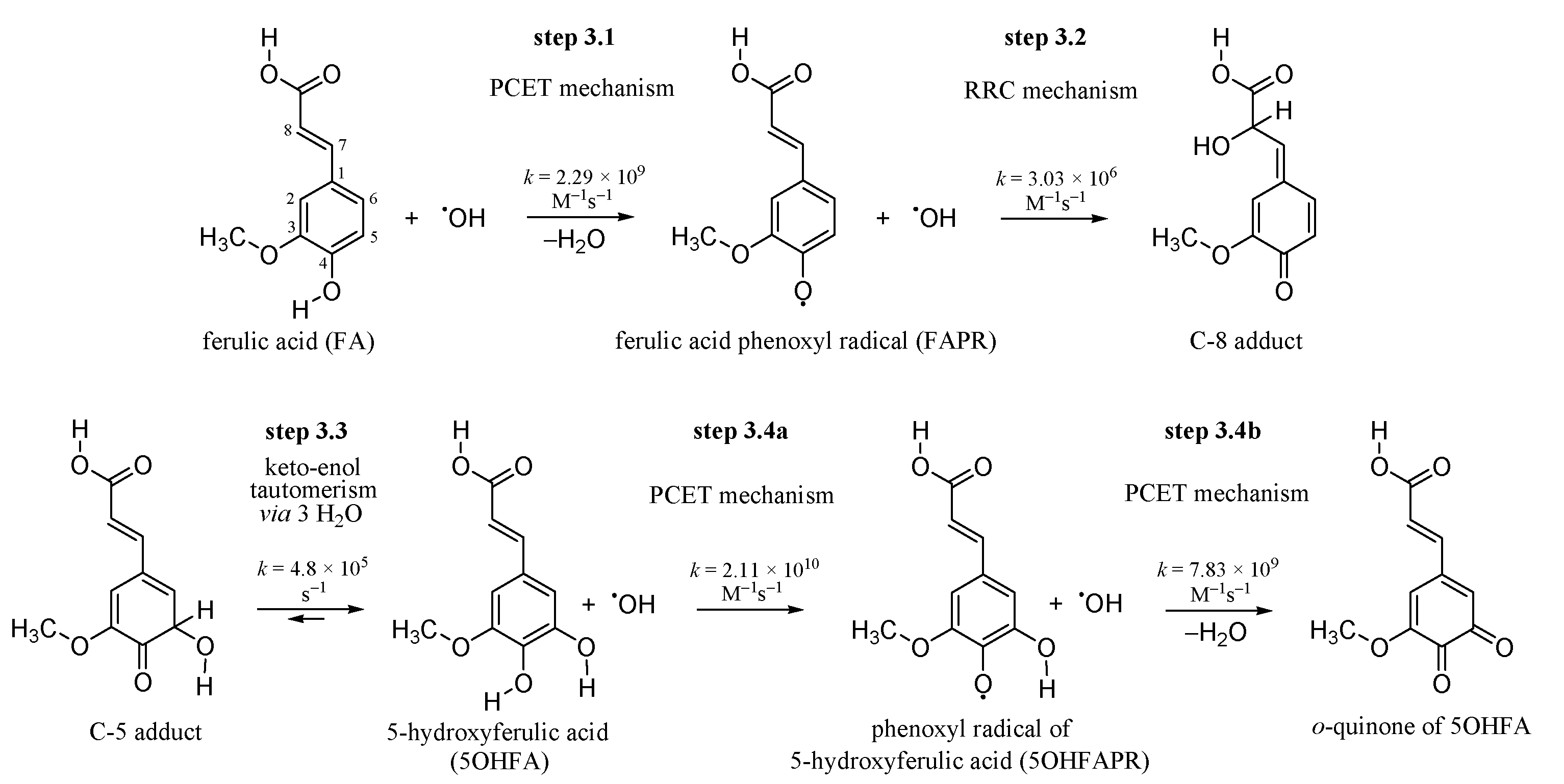 Antioxidants 10 01303 g001