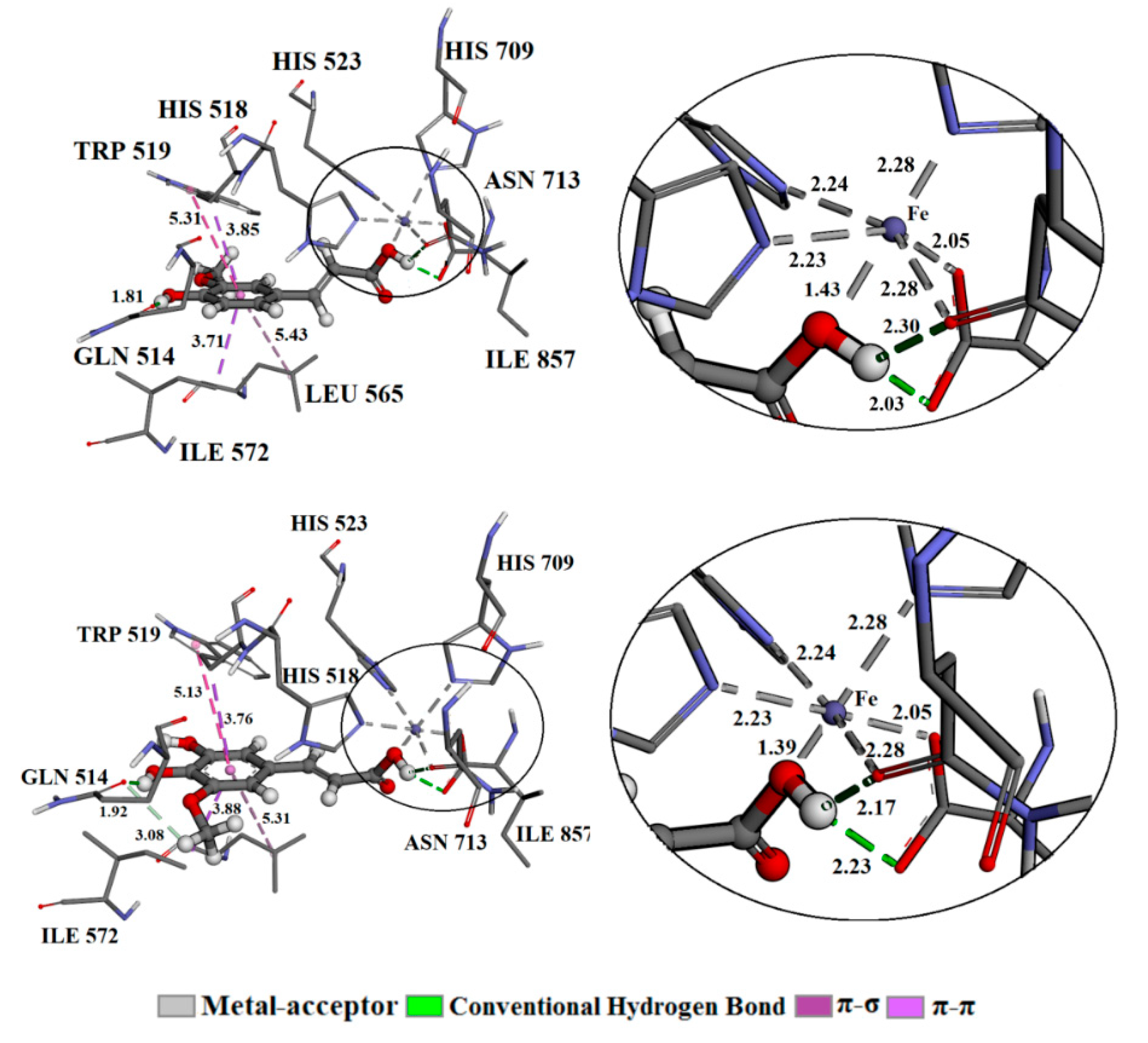 Antioxidants 10 01303 g005