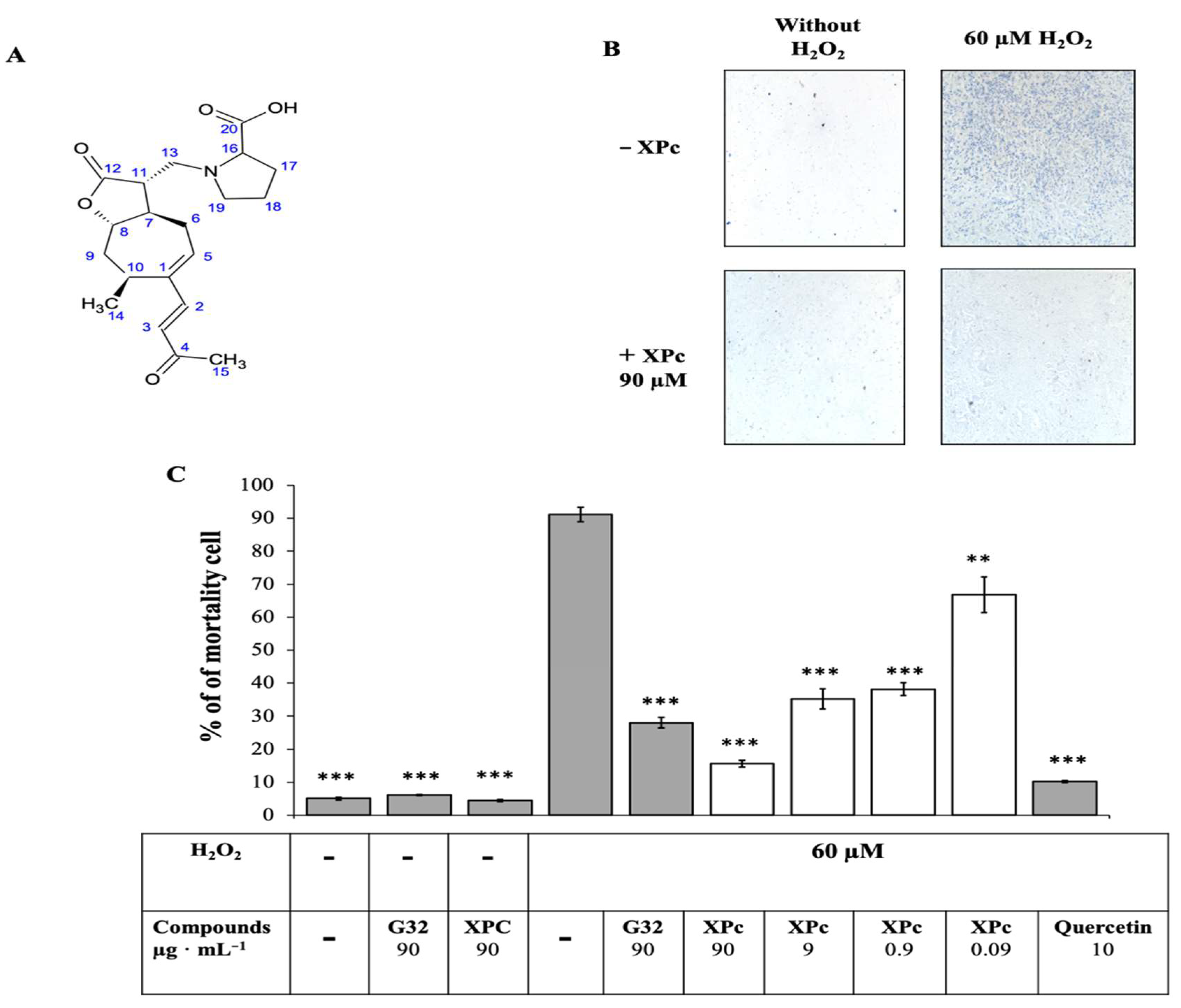 Antioxidants 10 01617 g004