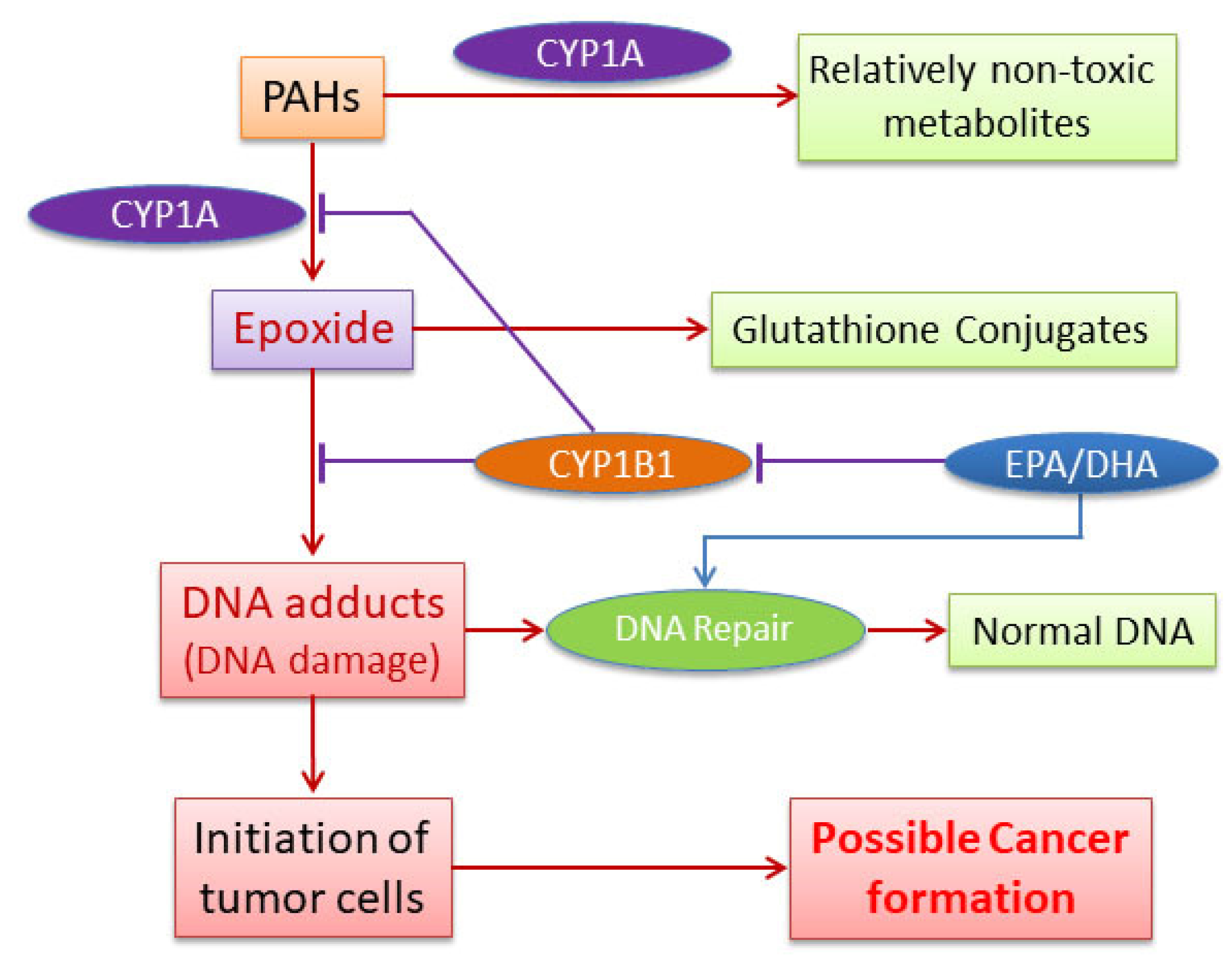 Antioxidants 11 00119 g009
