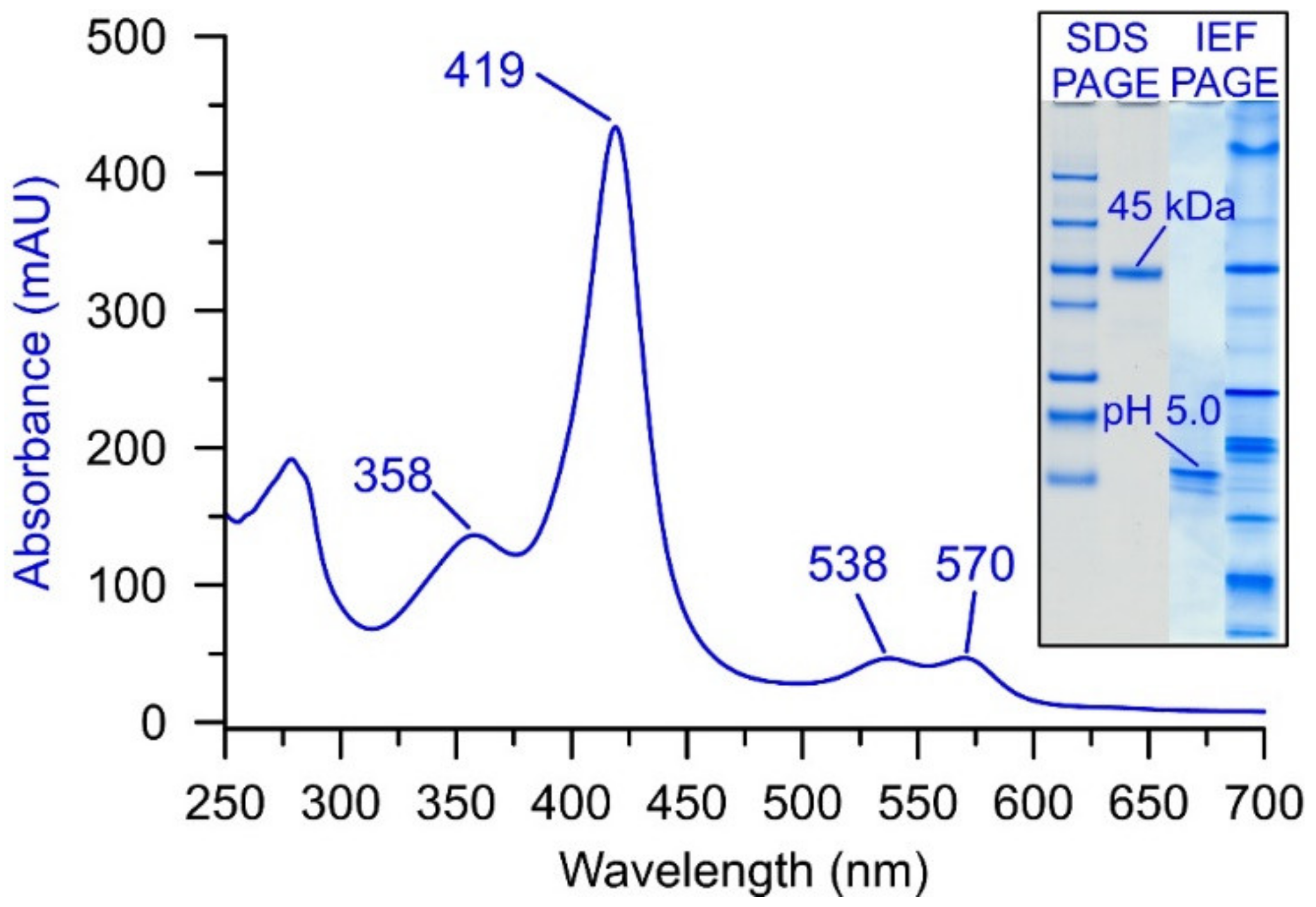 Antioxidants 11 00163 g002