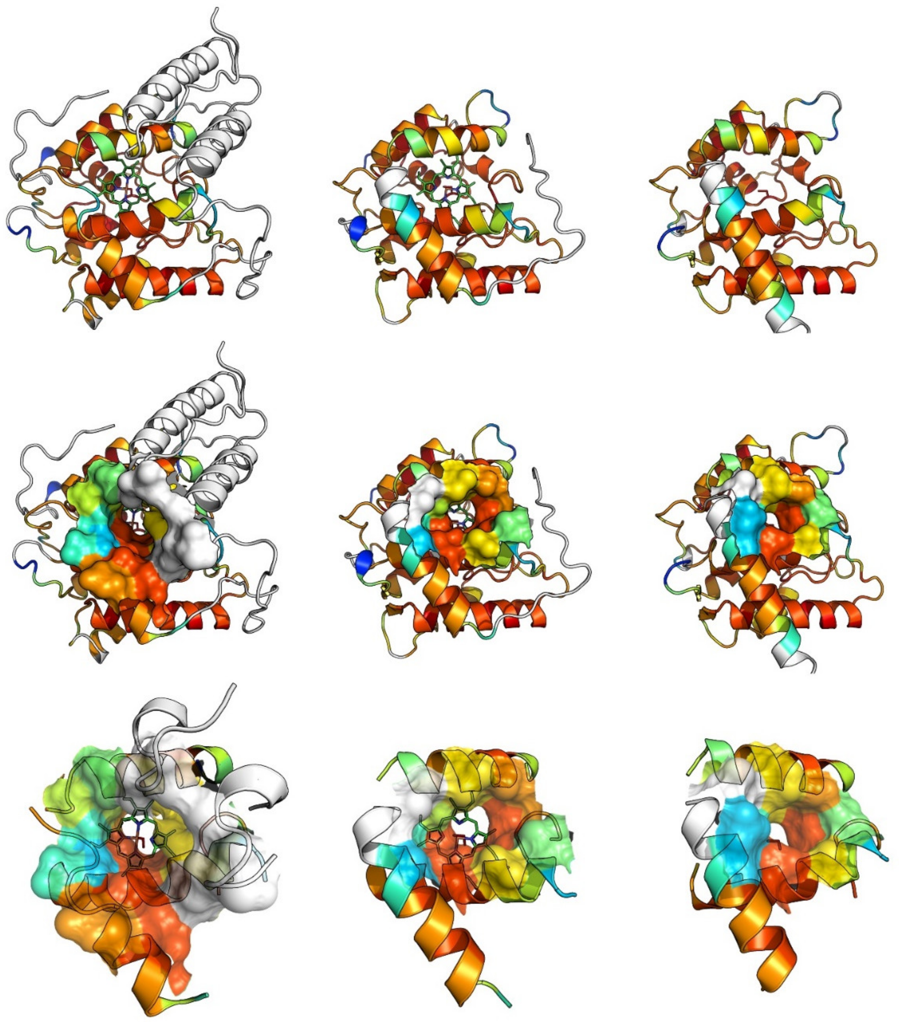 Antioxidants 11 00163 g003