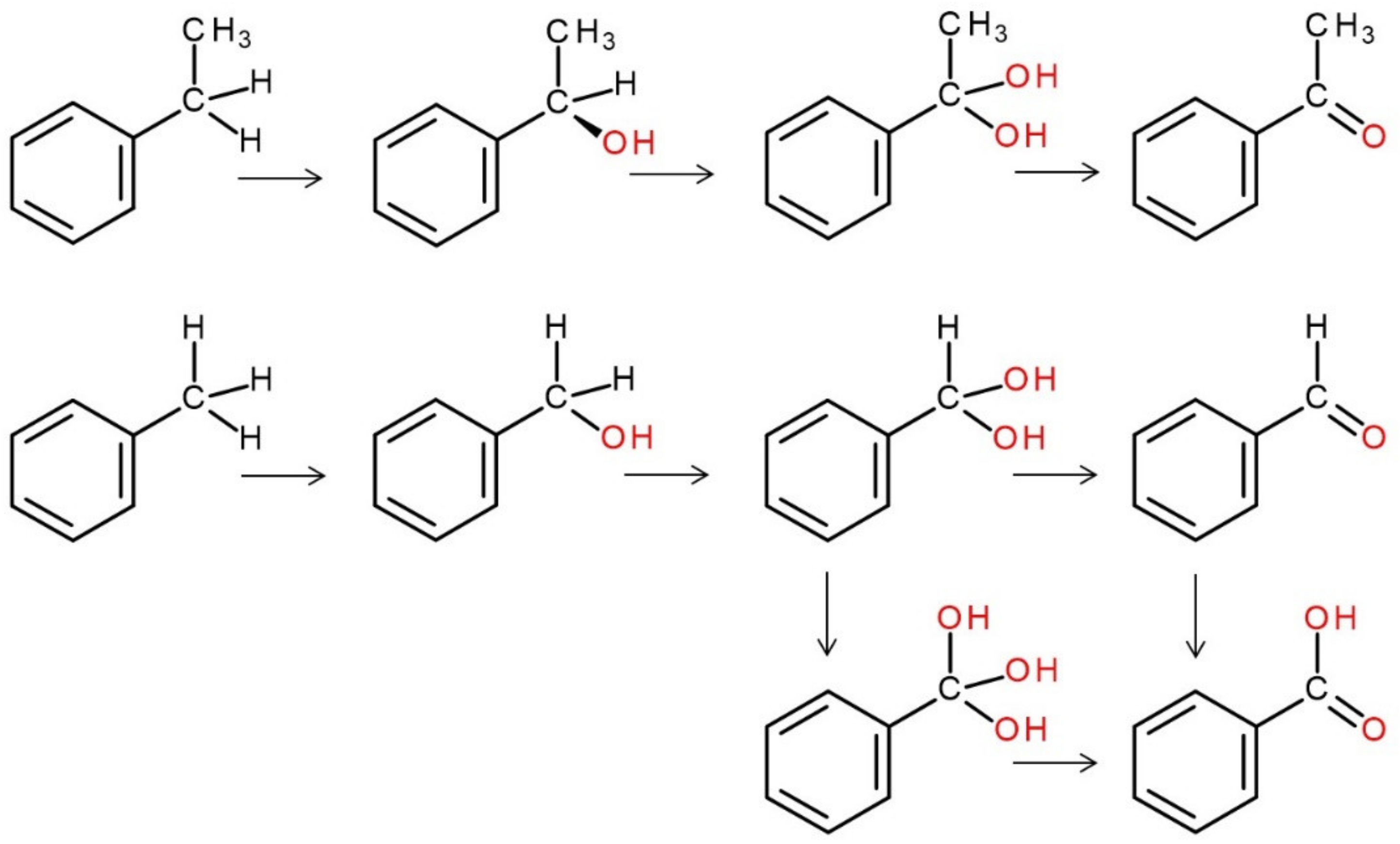 Antioxidants 11 00163 g006