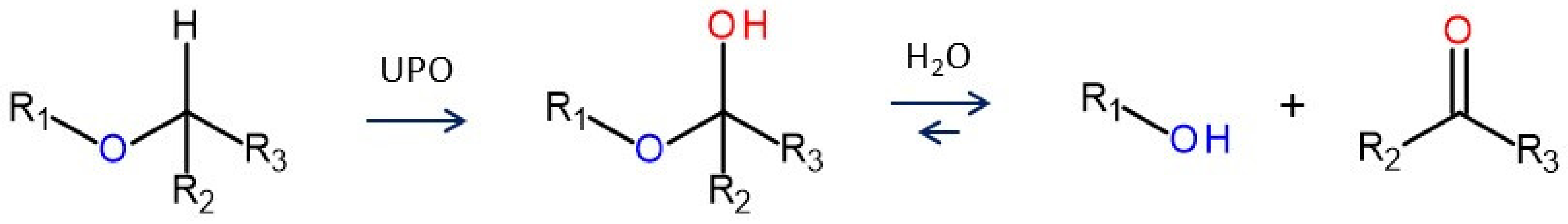 Antioxidants 11 00163 g008