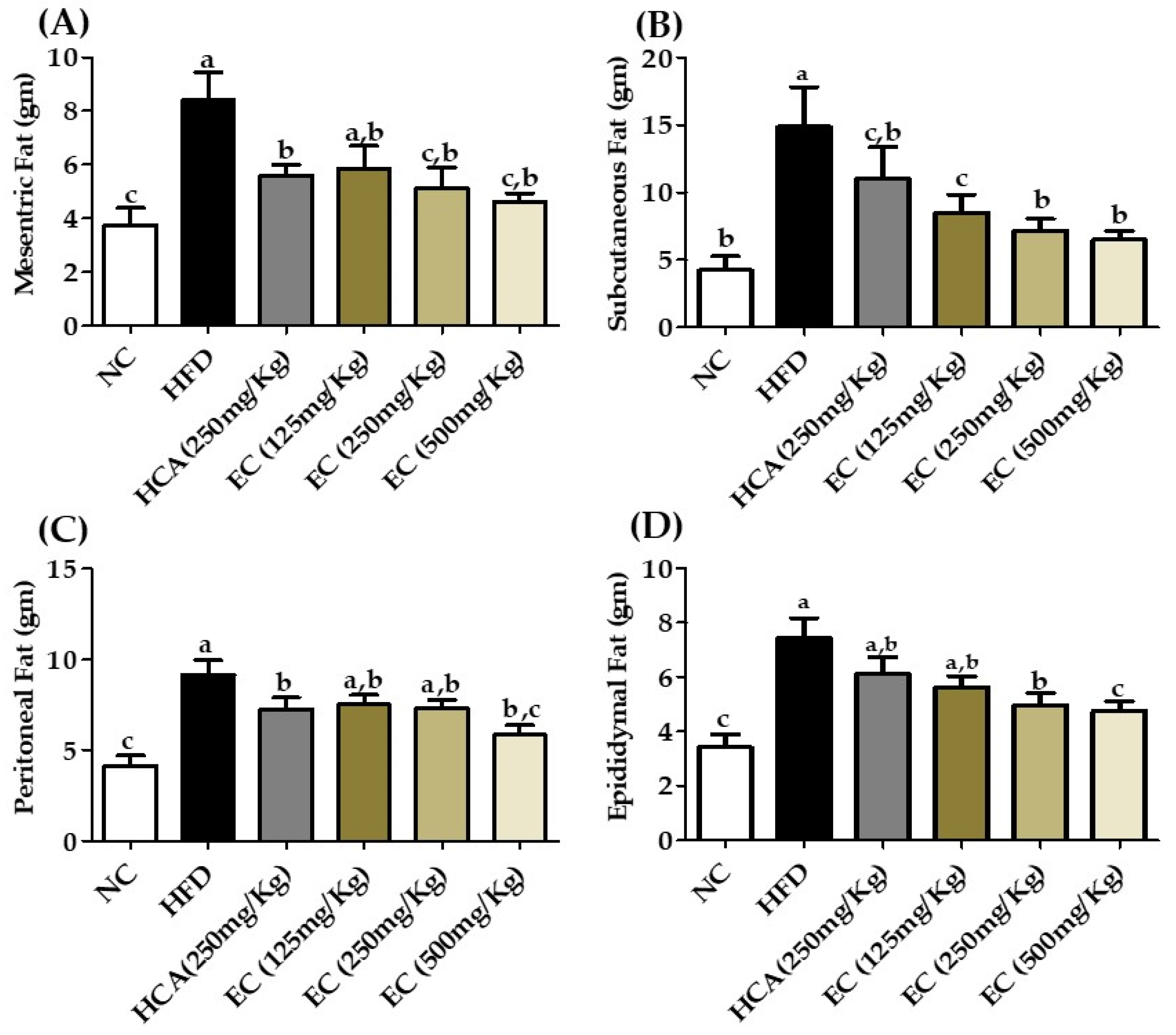 Antioxidants 11 00310 g005 Antioxidants 11 00310 g005
