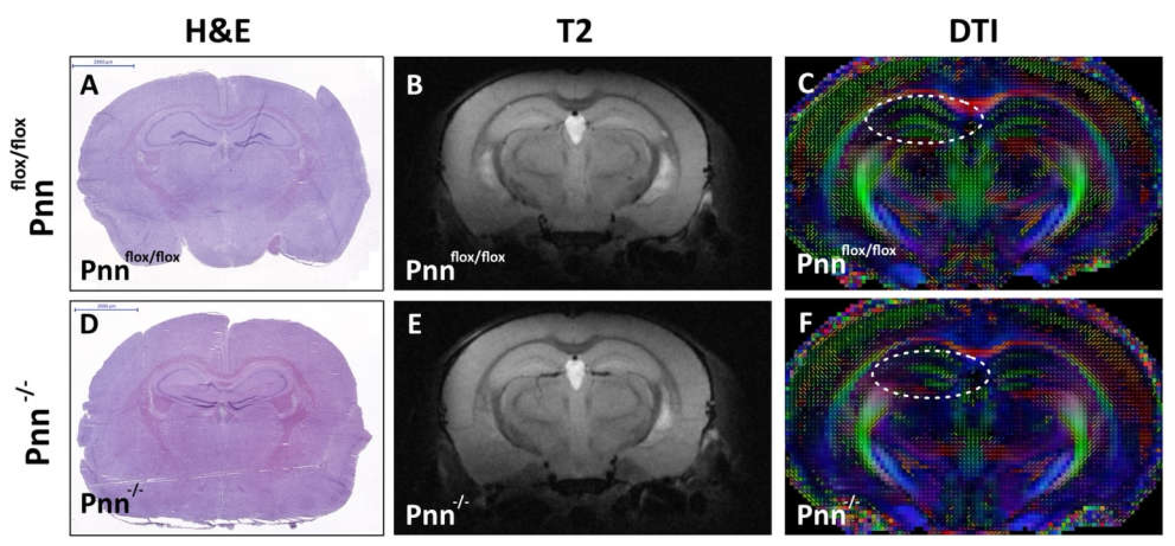 Antioxidants 11 00466 g002