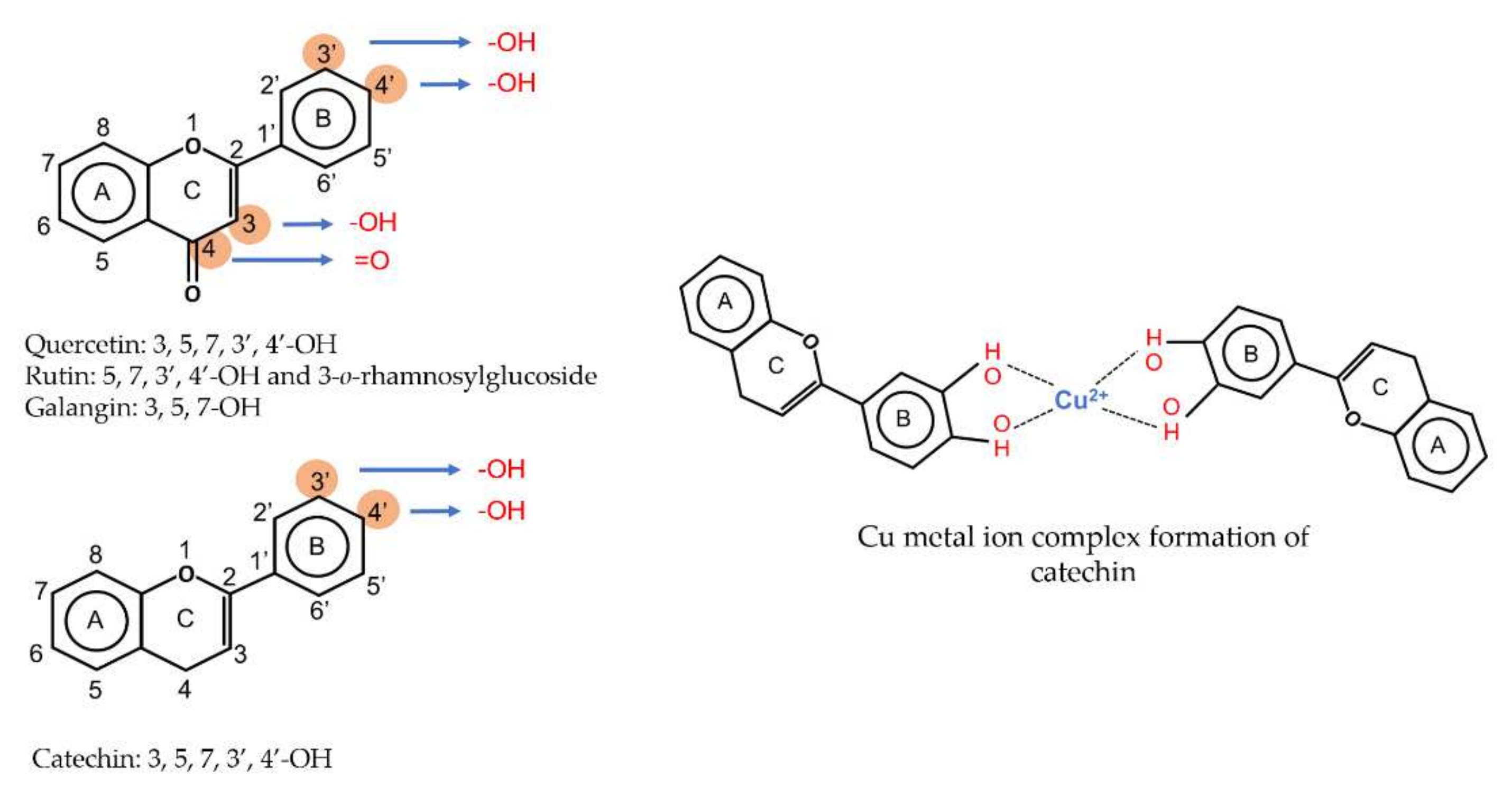 Antioxidants 11 00602 g001