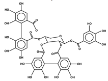 Antioxidants 11 00602 i009